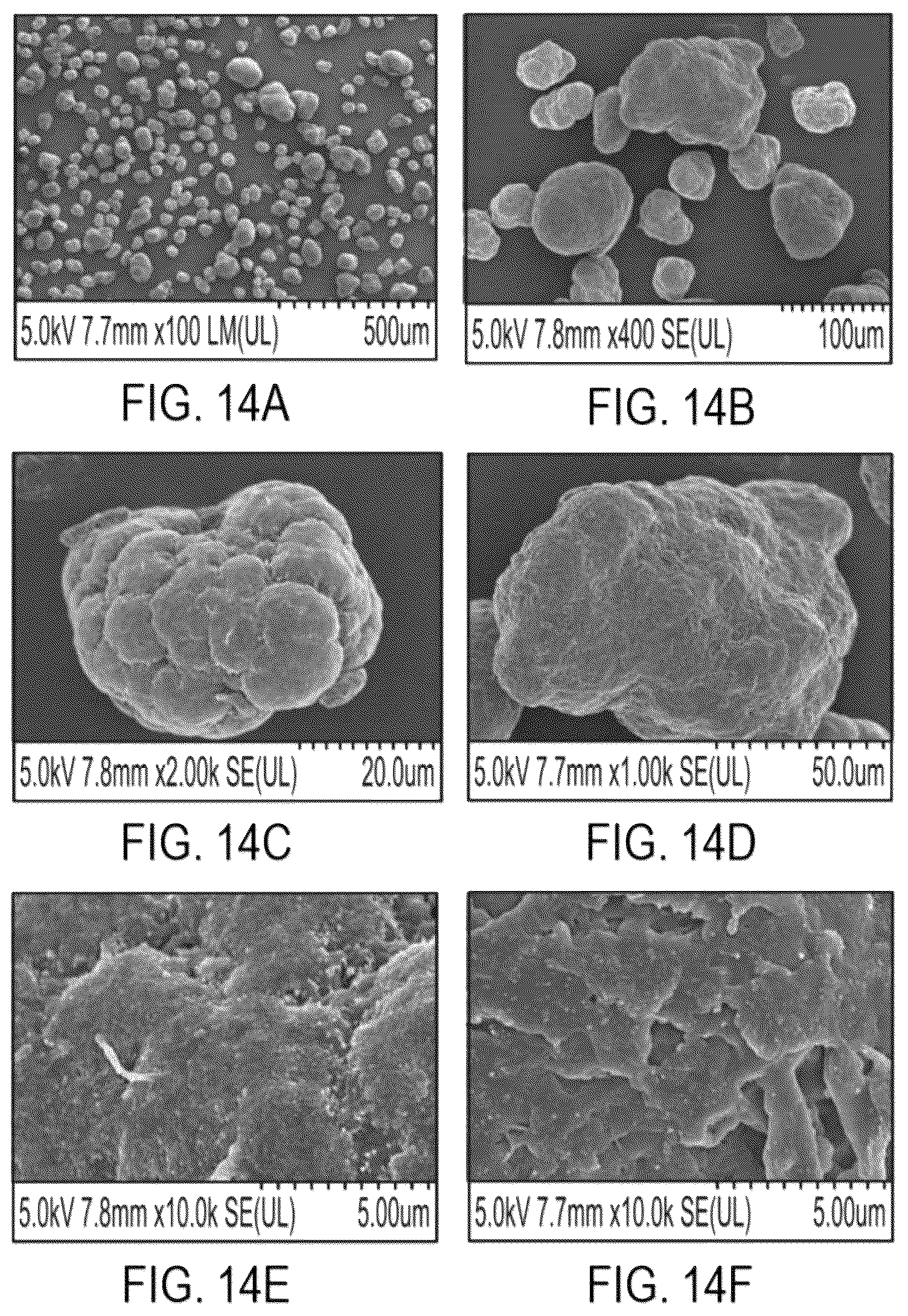 Patent US12378360 Figure 14 – Polyamide particles and methods of production and uses thereof