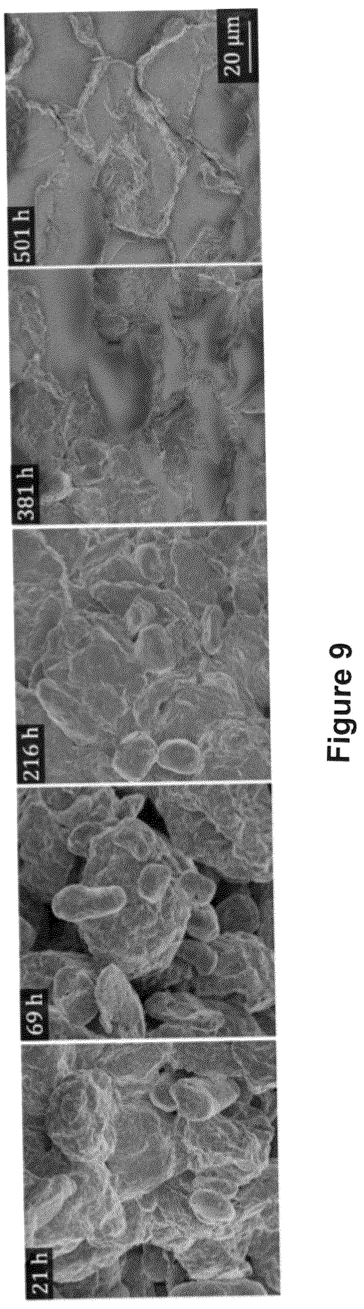 Patent US12378368 Figure 7 – Composite materials made from pickering emulsions