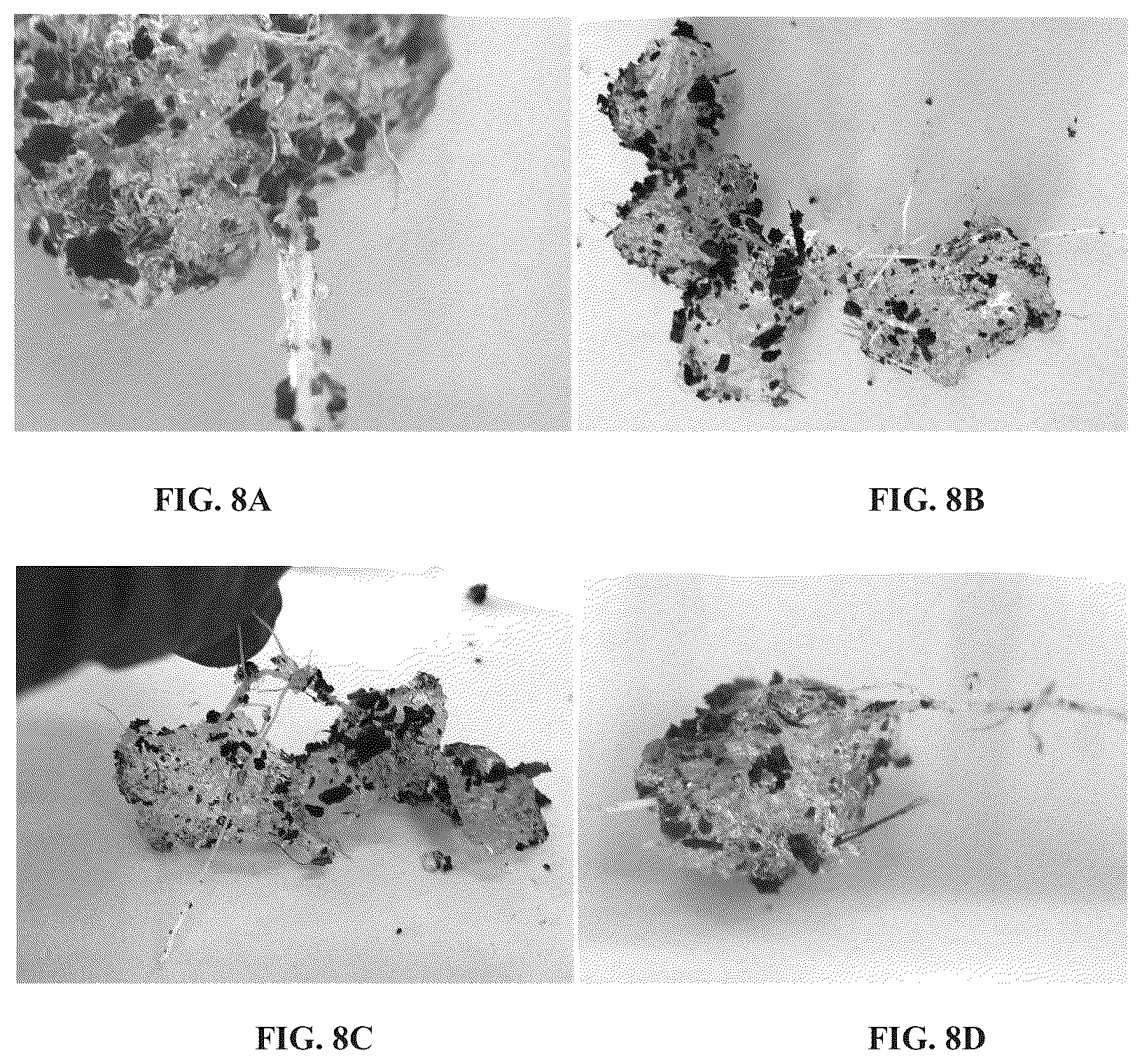 Patent US12378370 Figure 10 – Hydrogel and uses thereof as a substrate for growing plants