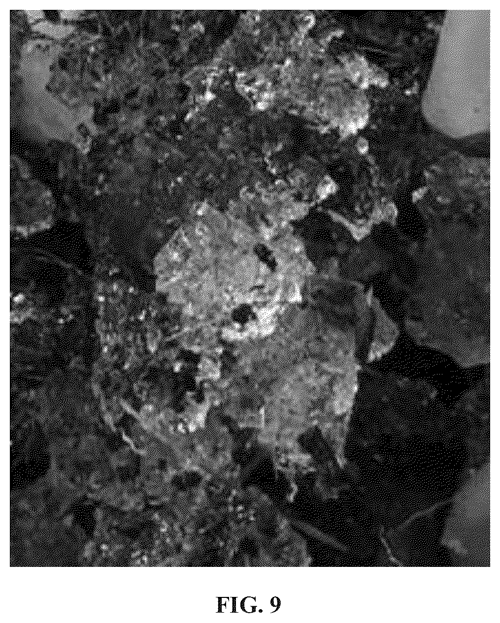 Patent US12378370 Figure 11 – Hydrogel and uses thereof as a substrate for growing plants