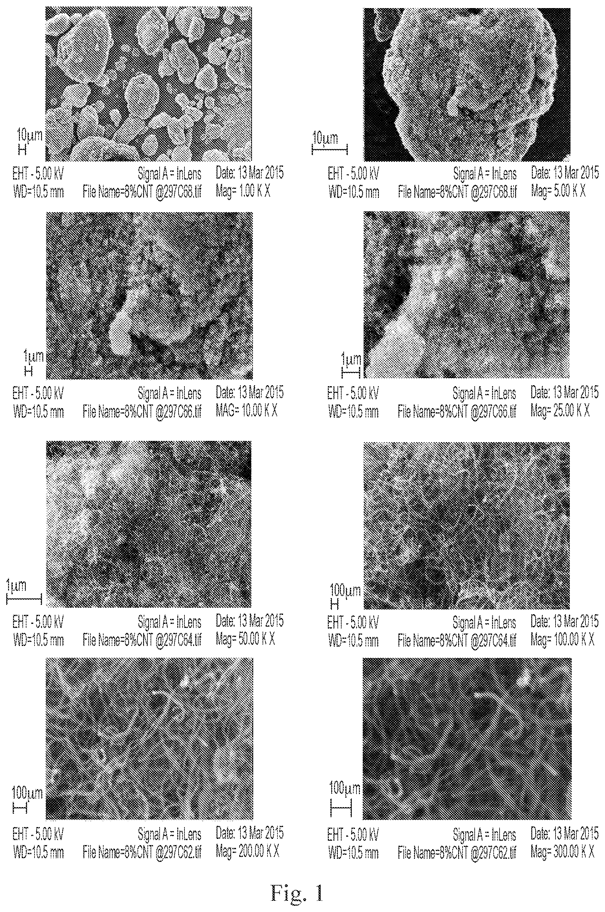 Patent US12378375 — In situ bonding of carbon fibers and nanotubes to polymer matrices — Figure 1