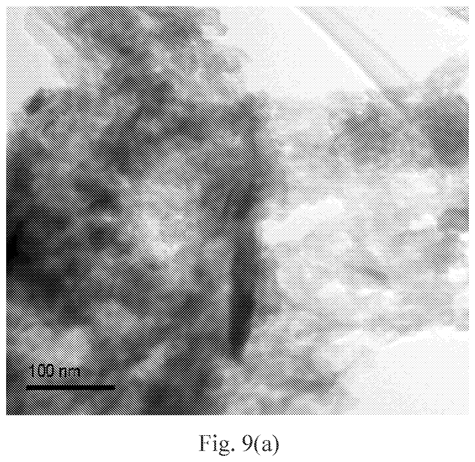 Patent US12378375 Figure 8 – In situ bonding of carbon fibers and nanotubes to polymer matrices