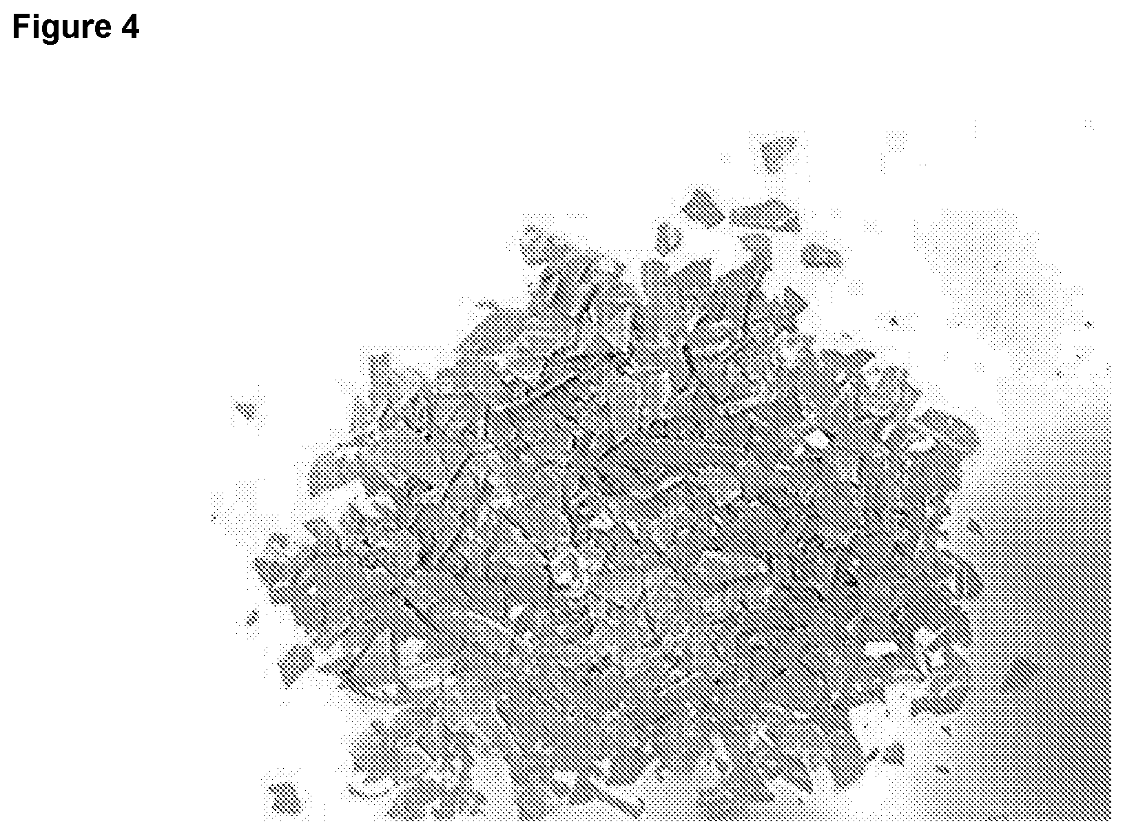 Patent US12378384 Figure 3 – Polymer recycling