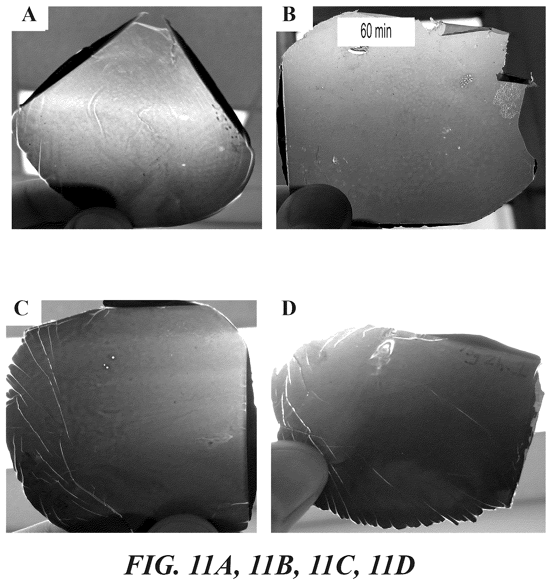 Patent US12378385 Figure 10 – Use of graphene-polymer composites to improve barrier resistance of polymers to liquid and gas permeants