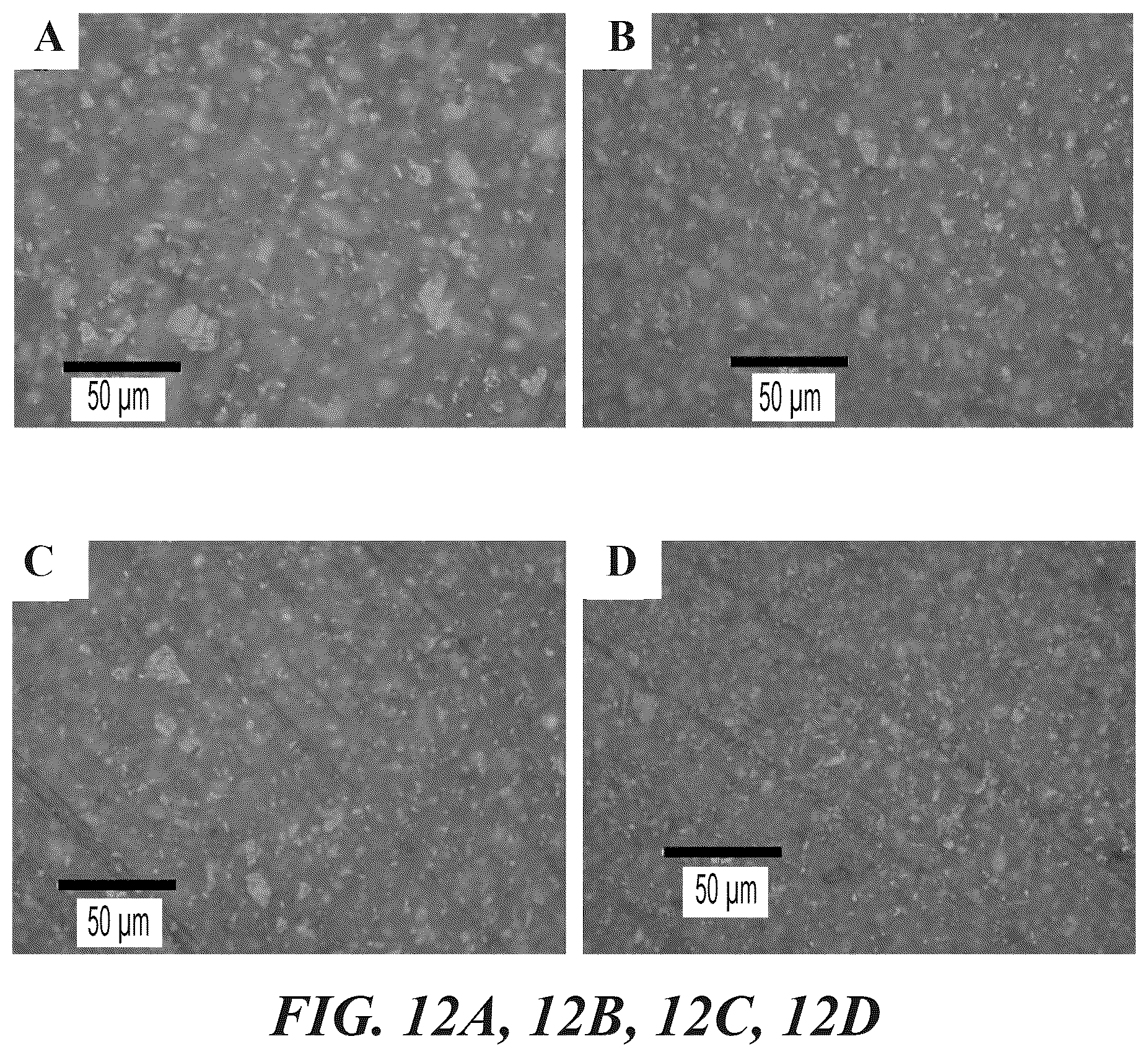 Patent US12378385 Figure 11 – Use of graphene-polymer composites to improve barrier resistance of polymers to liquid and gas permeants