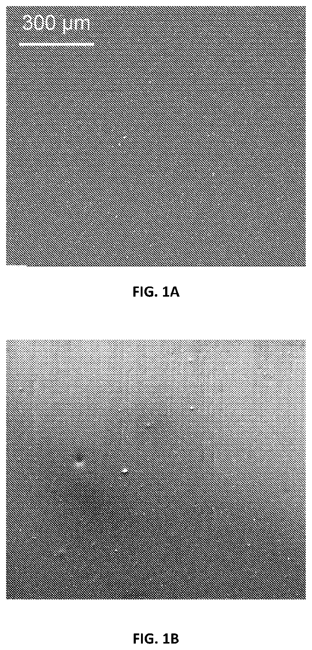 Patent US12378390 Figure 1 – Methods for improving nanocellulose dispersion in elastomeric compounds, and compositions containing dispersed nanocellulose in elastomer compounds