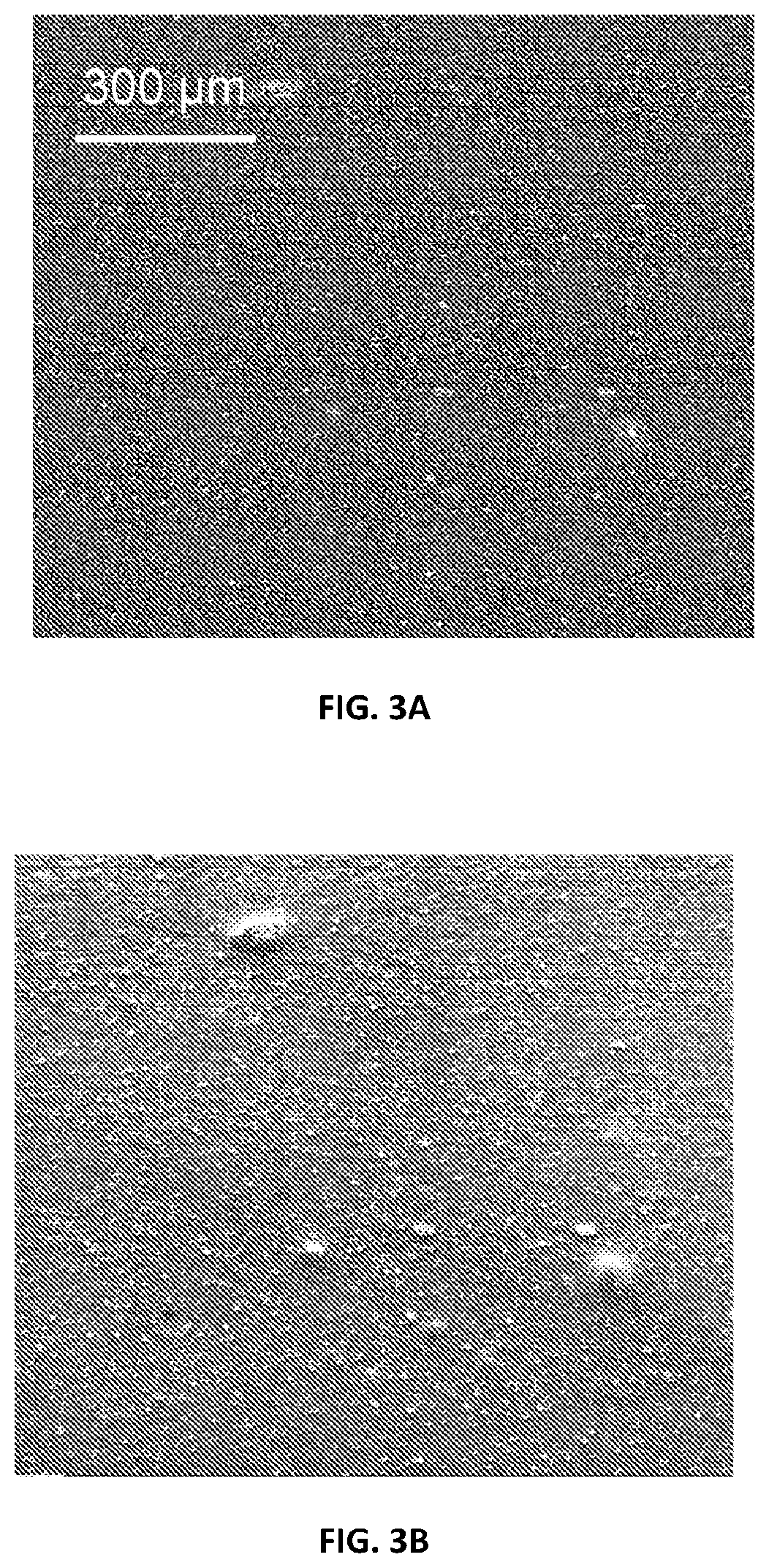 Patent US12378390 Figure 3 – Methods for improving nanocellulose dispersion in elastomeric compounds, and compositions containing dispersed nanocellulose in elastomer compounds