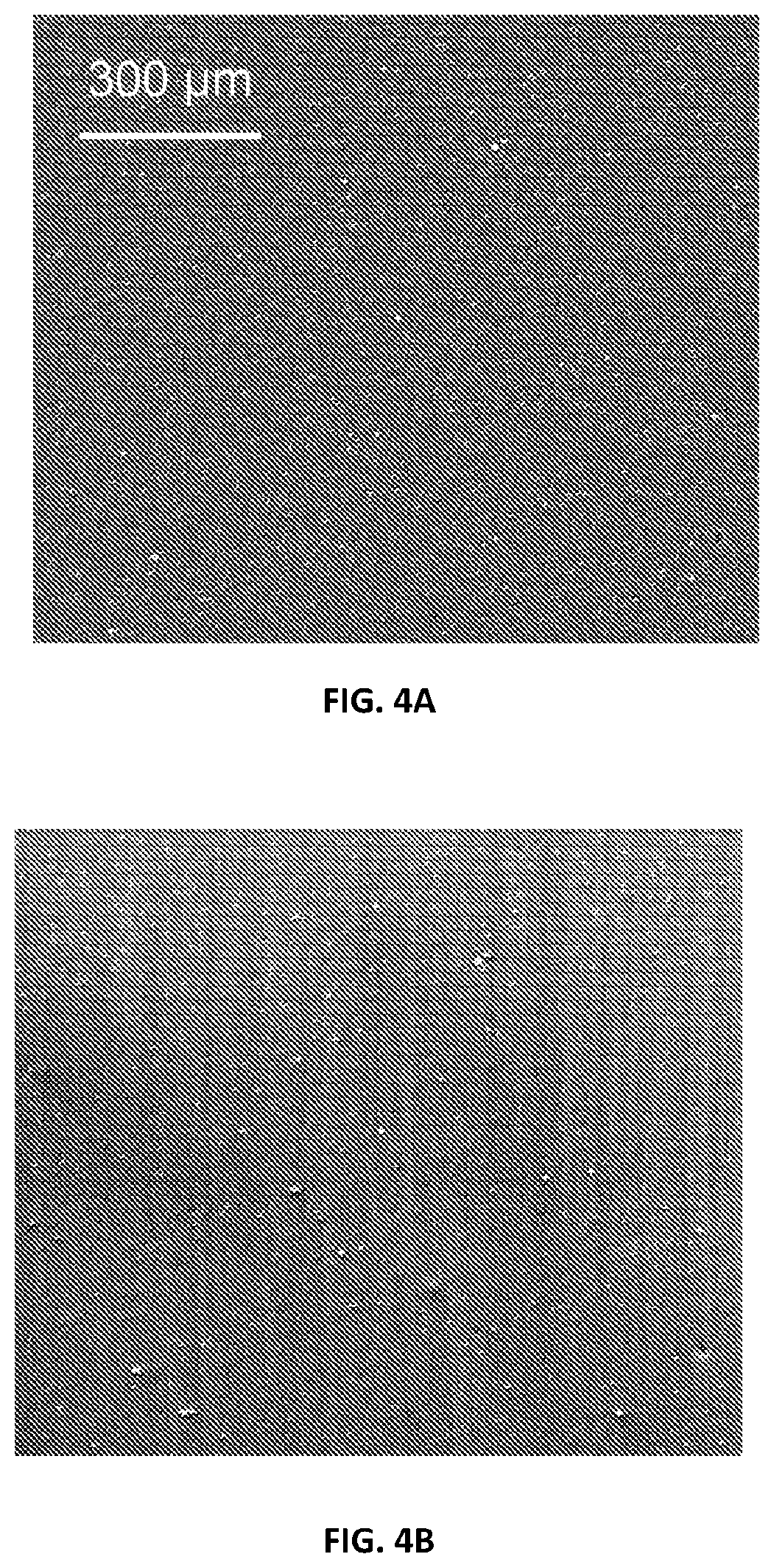 Patent US12378390 Figure 4 – Methods for improving nanocellulose dispersion in elastomeric compounds, and compositions containing dispersed nanocellulose in elastomer compounds
