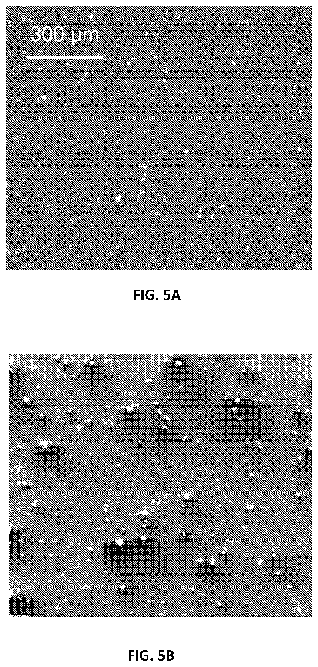 Patent US12378390 Figure 5 – Methods for improving nanocellulose dispersion in elastomeric compounds, and compositions containing dispersed nanocellulose in elastomer compounds