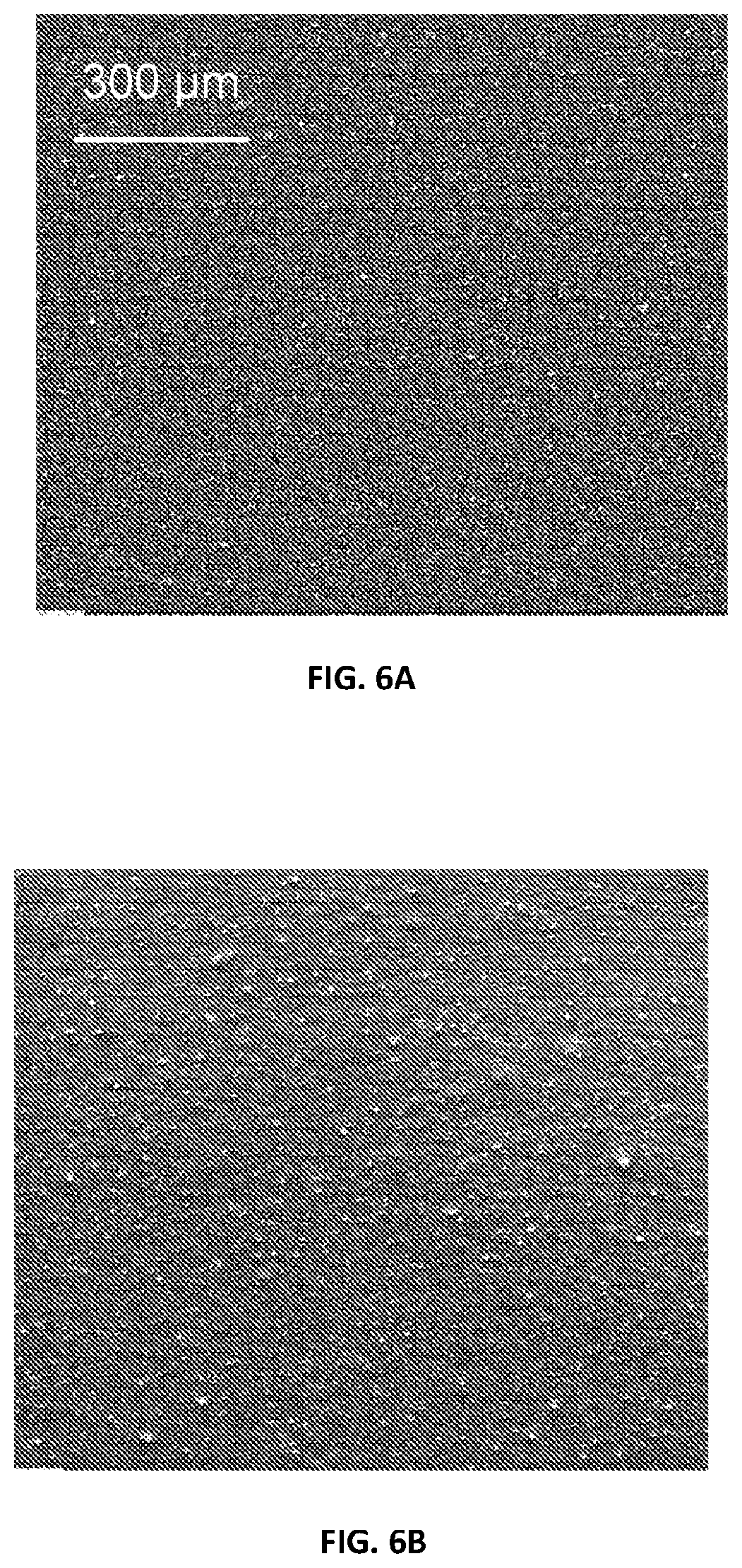 Patent US12378390 Figure 6 – Methods for improving nanocellulose dispersion in elastomeric compounds, and compositions containing dispersed nanocellulose in elastomer compounds