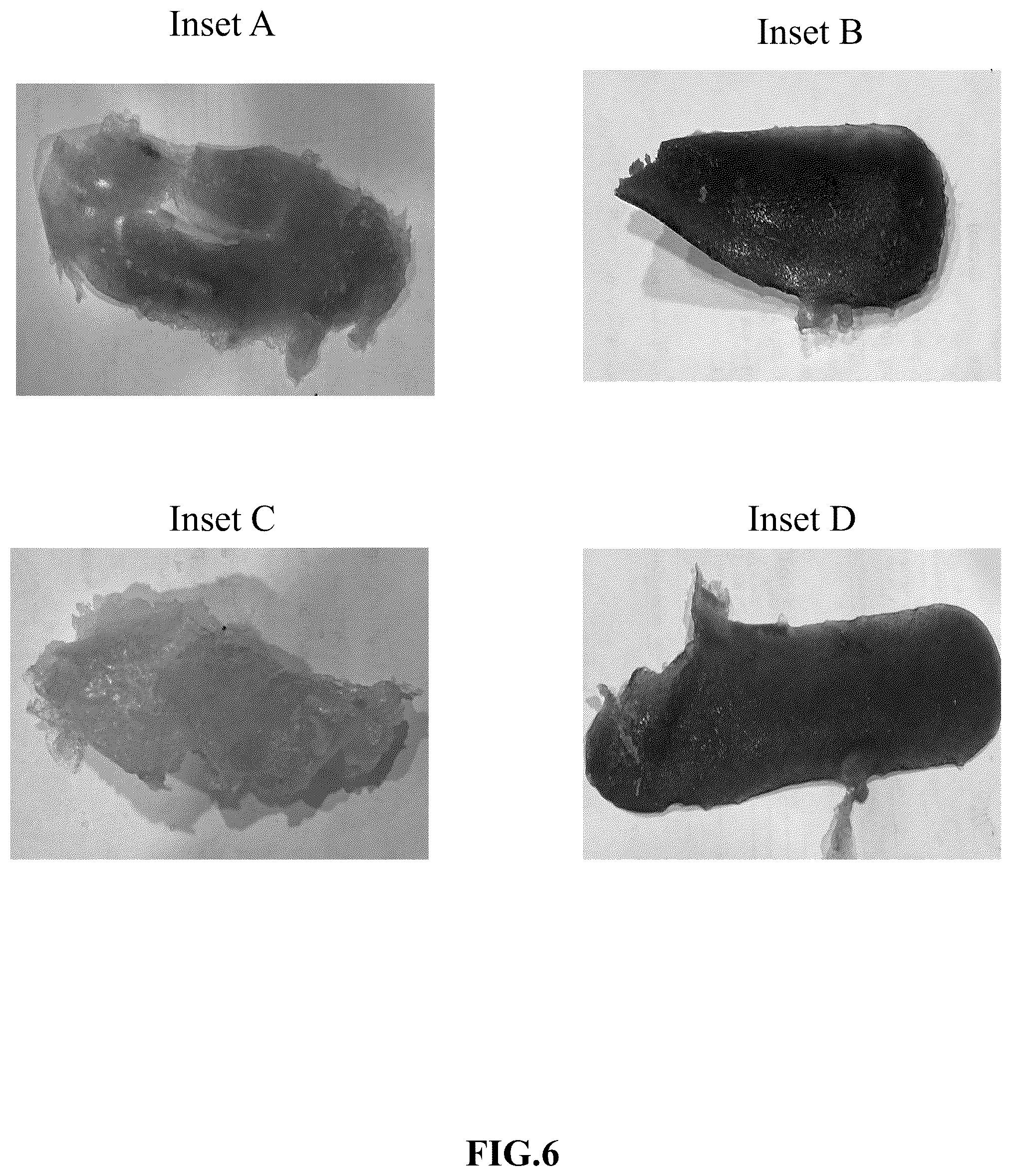Patent US12378399 Figure 6 – Synthetic rubber composition for solid molds