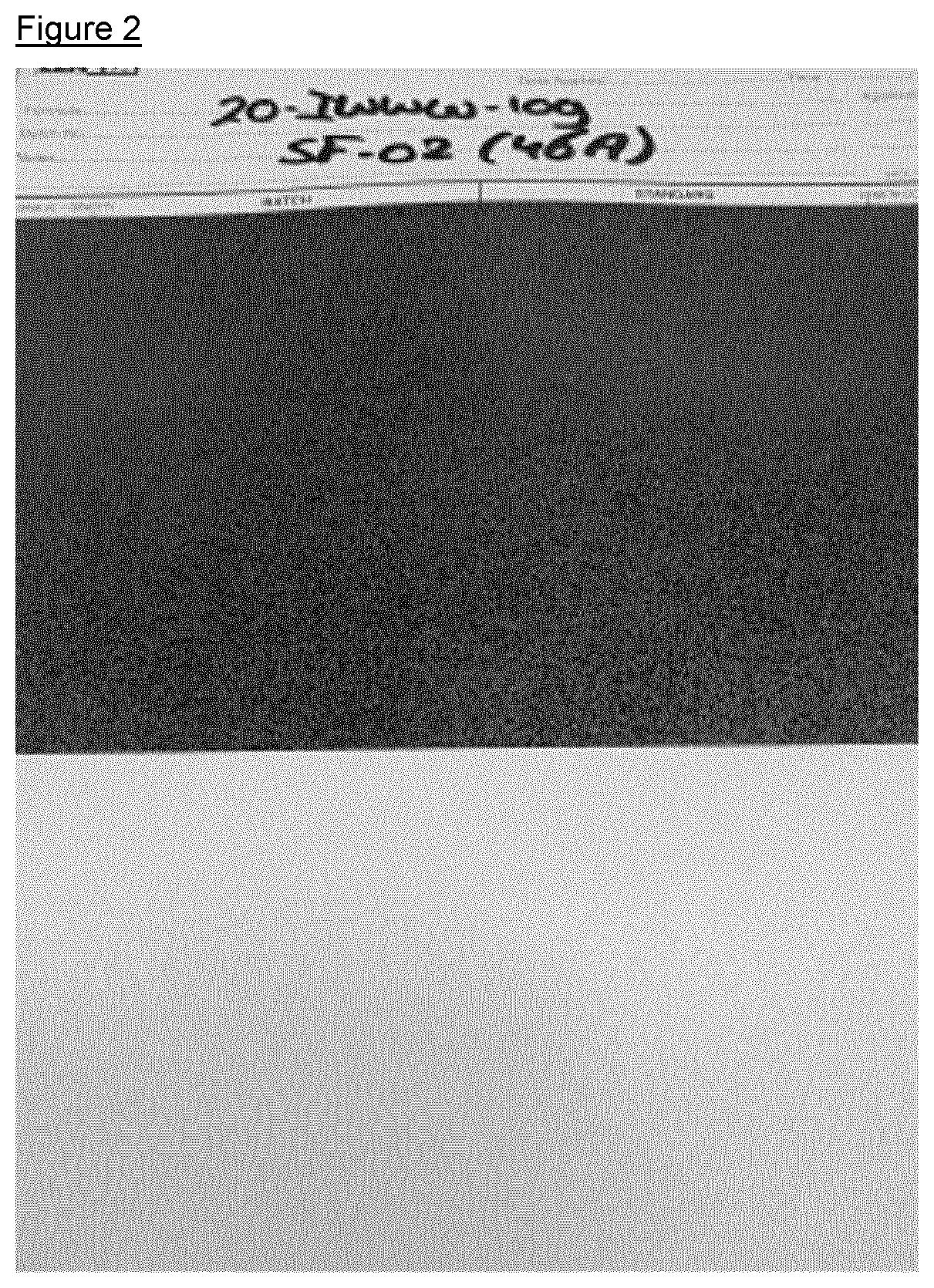 Patent US12378431 Figure 2 – Process for preparing aqueous polymer dispersions