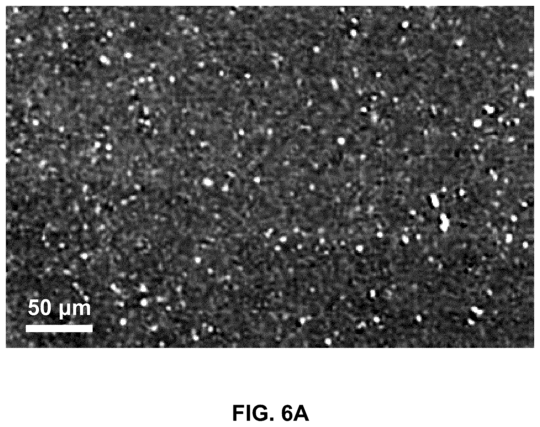 Patent US12378467 Figure 11 – Tracer including zinc oxide quantum dots embedded in silica