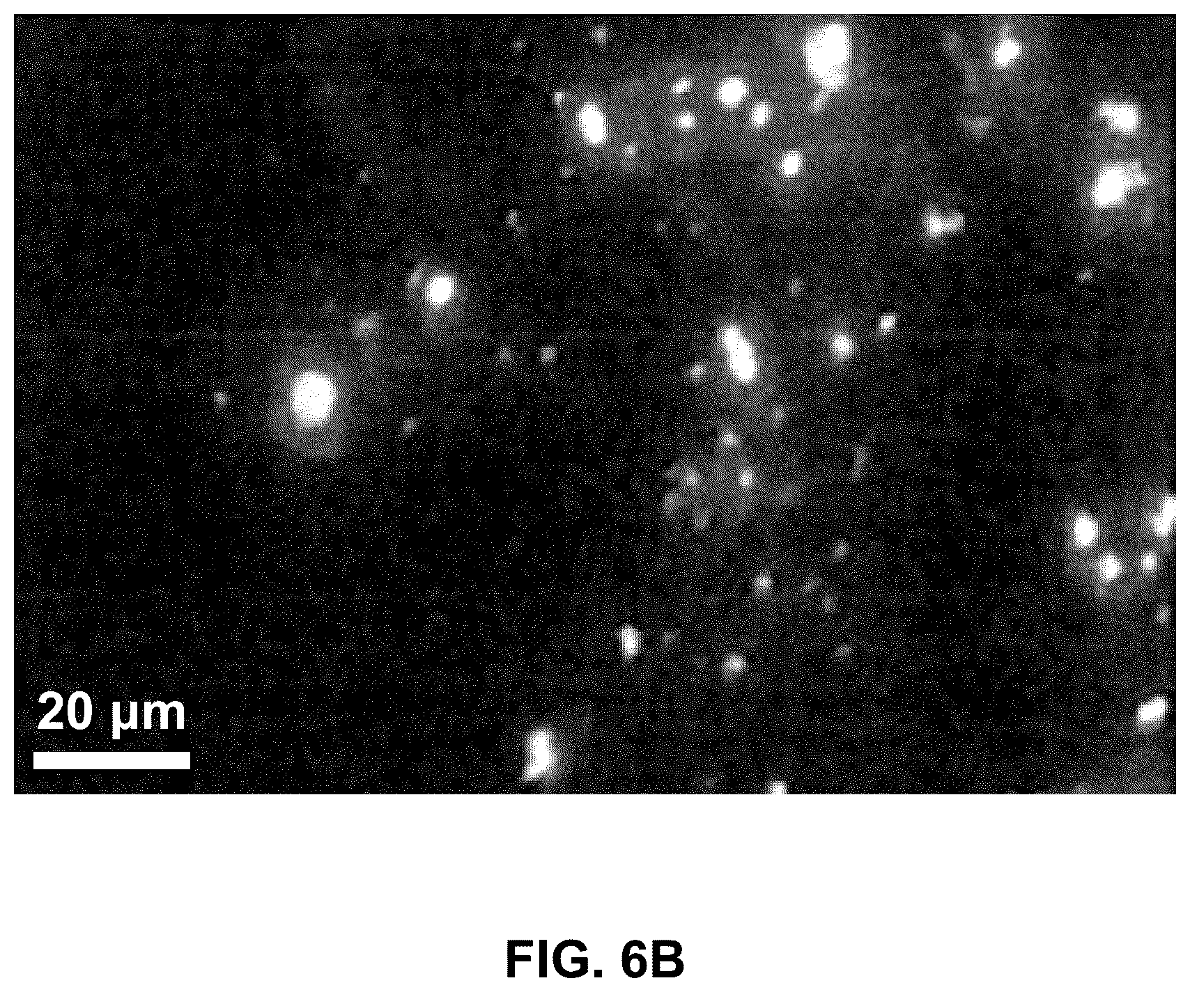Patent US12378467 Figure 12 – Tracer including zinc oxide quantum dots embedded in silica