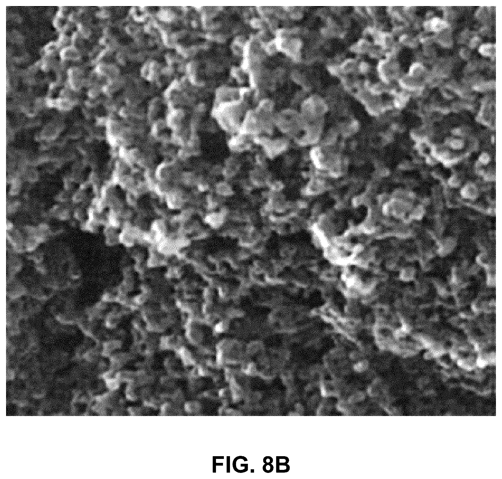 Patent US12378467 Figure 15 – Tracer including zinc oxide quantum dots embedded in silica