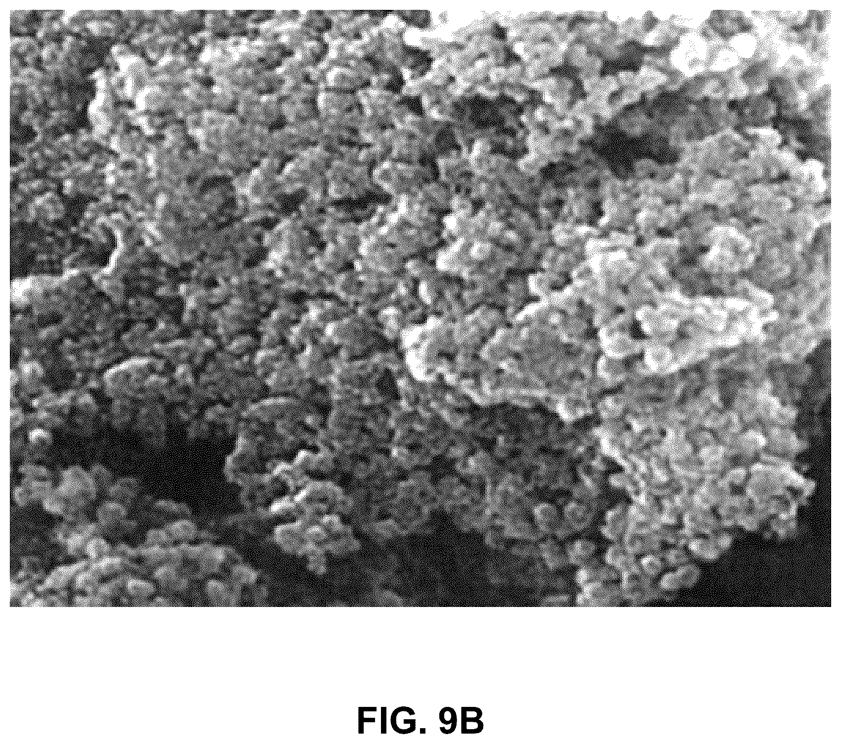 Patent US12378467 Figure 19 – Tracer including zinc oxide quantum dots embedded in silica