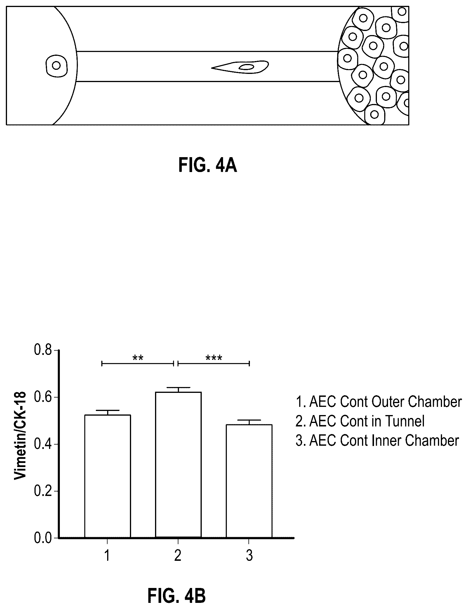 Patent US12378508 Figure 8 – Organ-on-chips that mimic human pregnancy and parturition