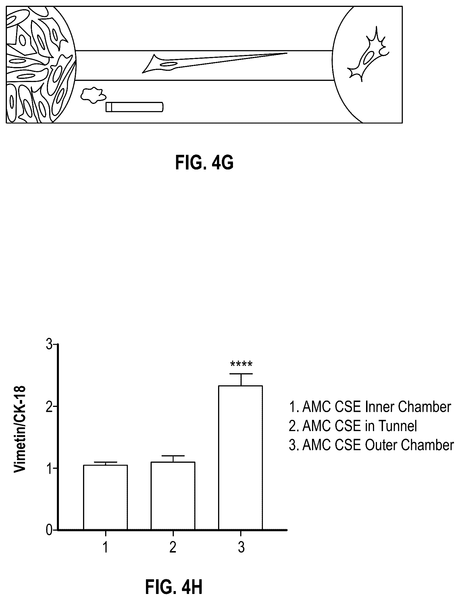 Patent US12378508 Figure 11 – Organ-on-chips that mimic human pregnancy and parturition