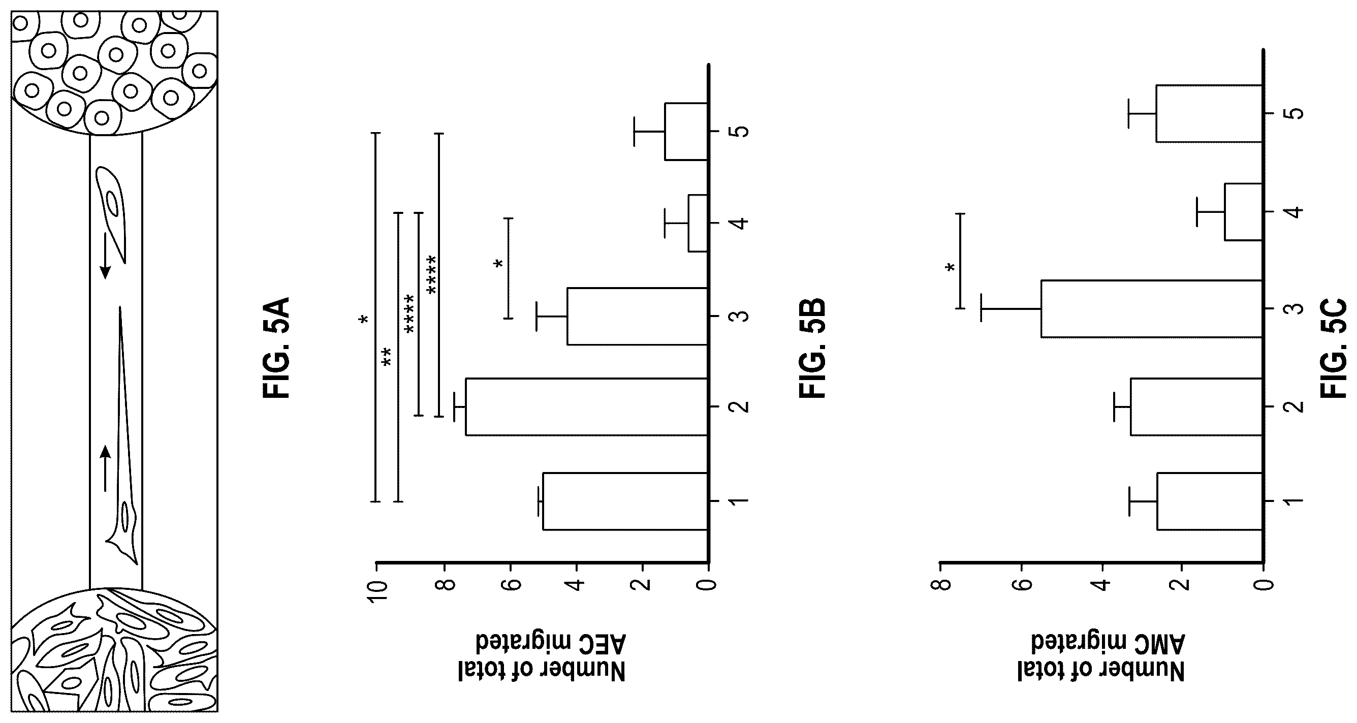 Patent US12378508 Figure 12 – Organ-on-chips that mimic human pregnancy and parturition