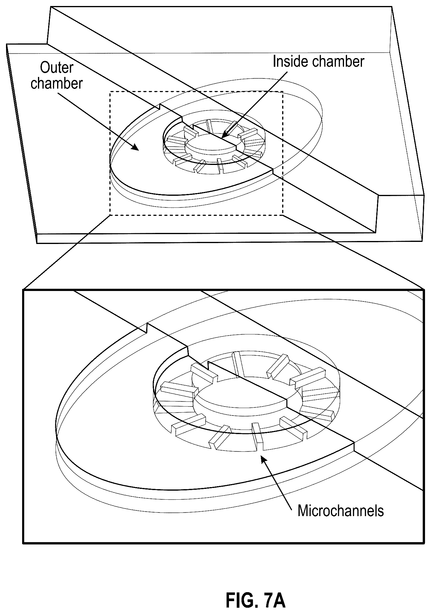 Patent US12378508 Figure 15 – Organ-on-chips that mimic human pregnancy and parturition