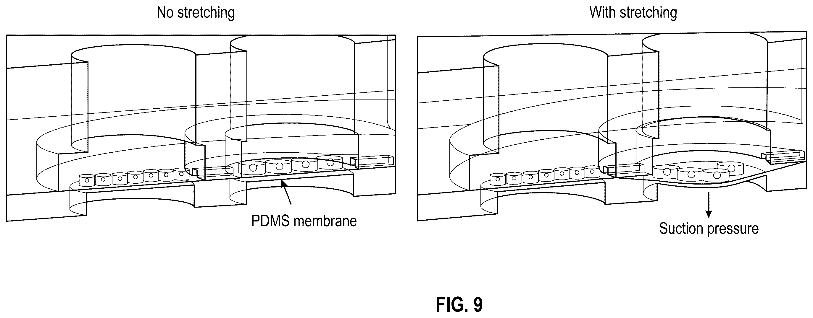 Patent US12378508 Figure 18 – Organ-on-chips that mimic human pregnancy and parturition