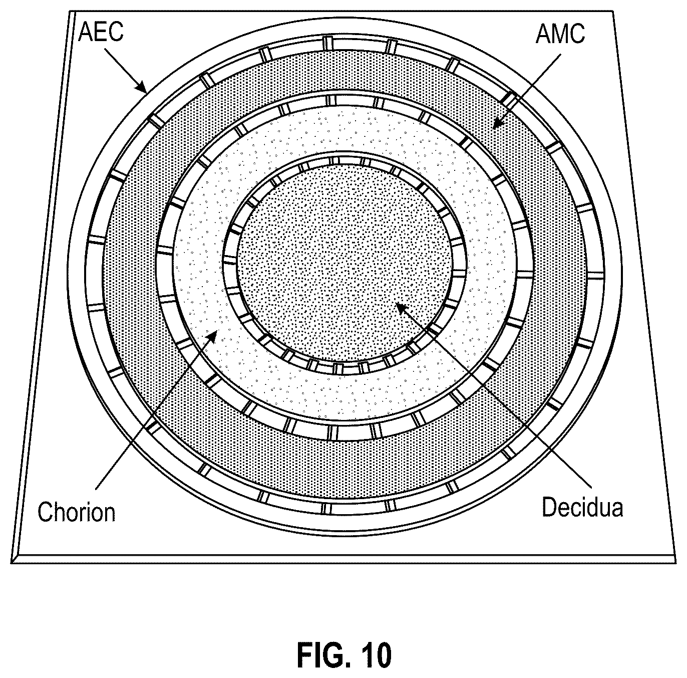 Patent US12378508 Figure 19 – Organ-on-chips that mimic human pregnancy and parturition