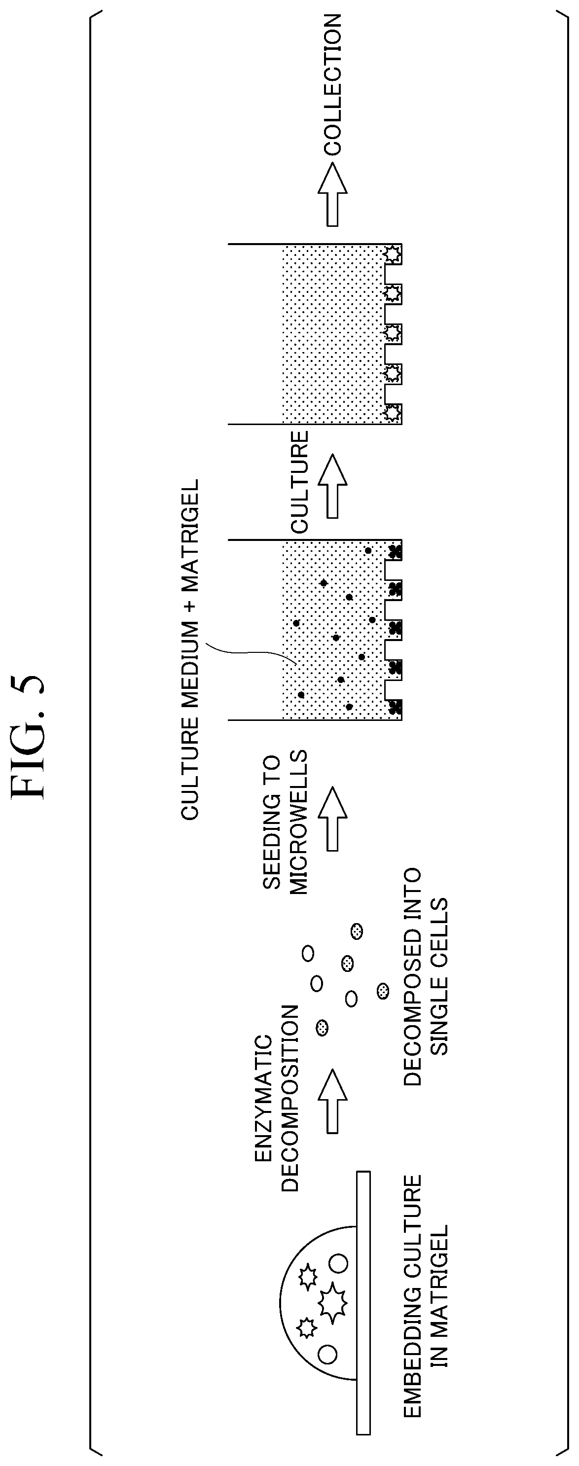 Patent US12378509 Figure 3 – Method for producing cell cluster group and device for producing same