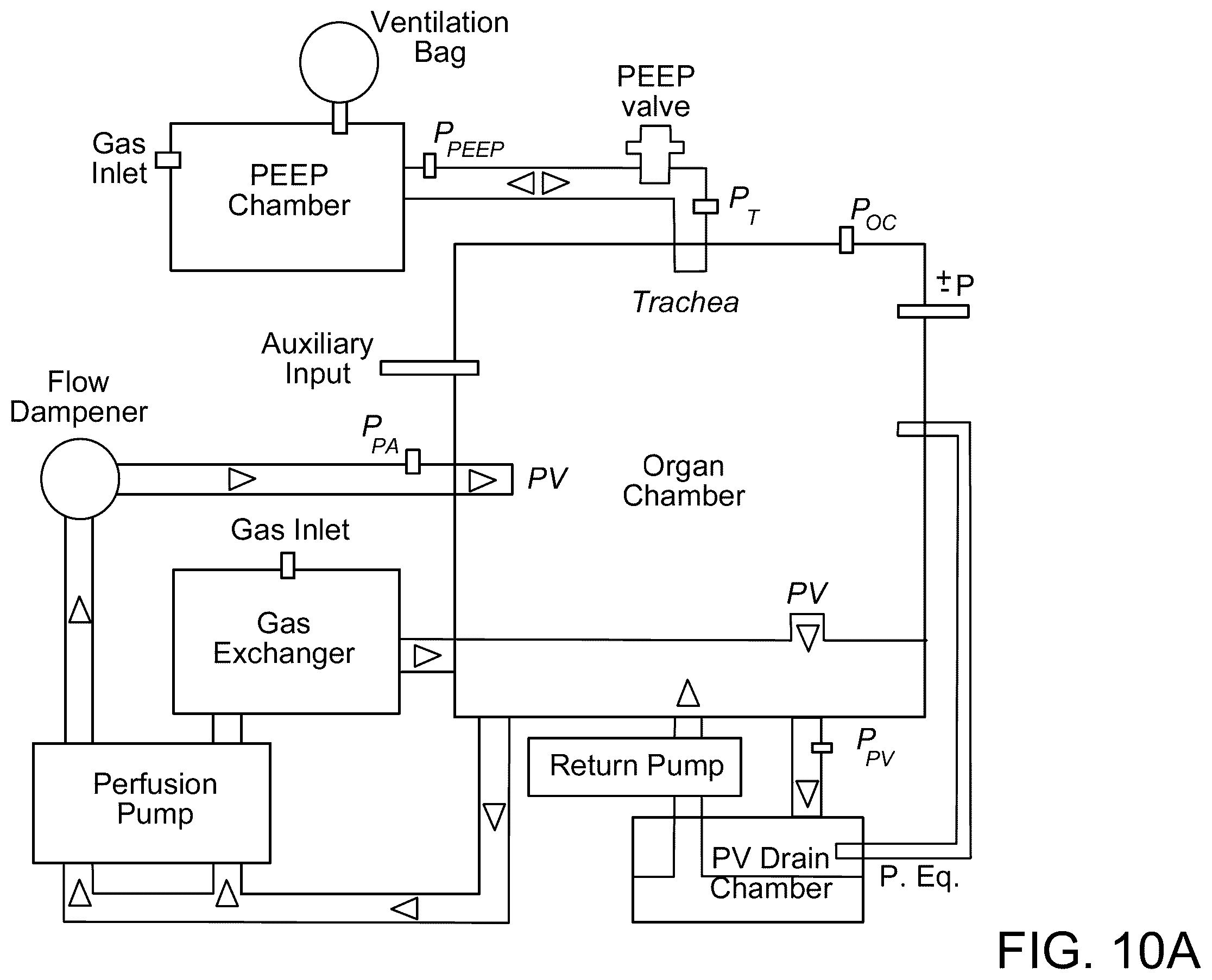 Patent US12378510 Figure 11 – Lung bioreactor