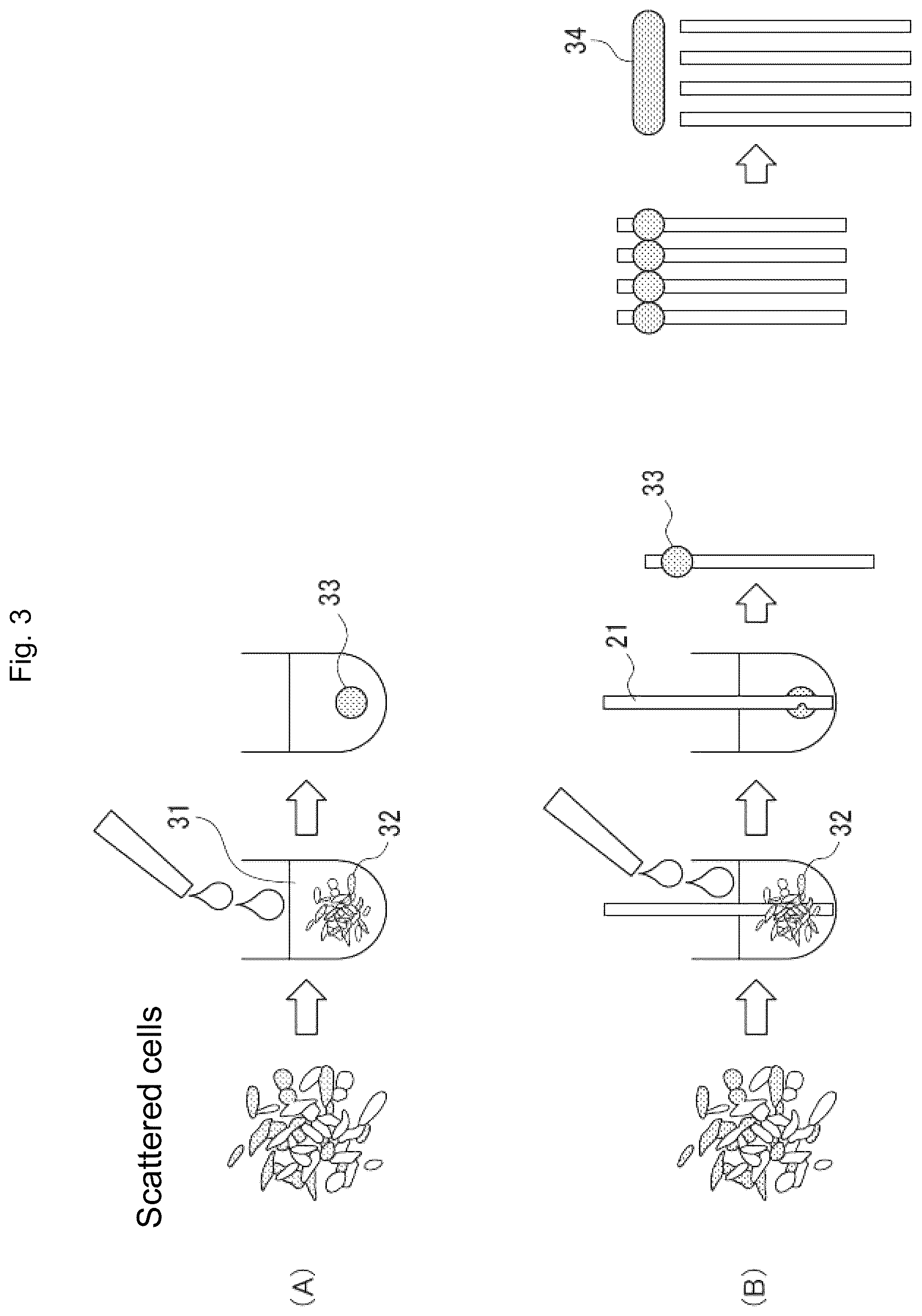 Patent US12378512 Figure 3 – Culture apparatus for drug discovery research