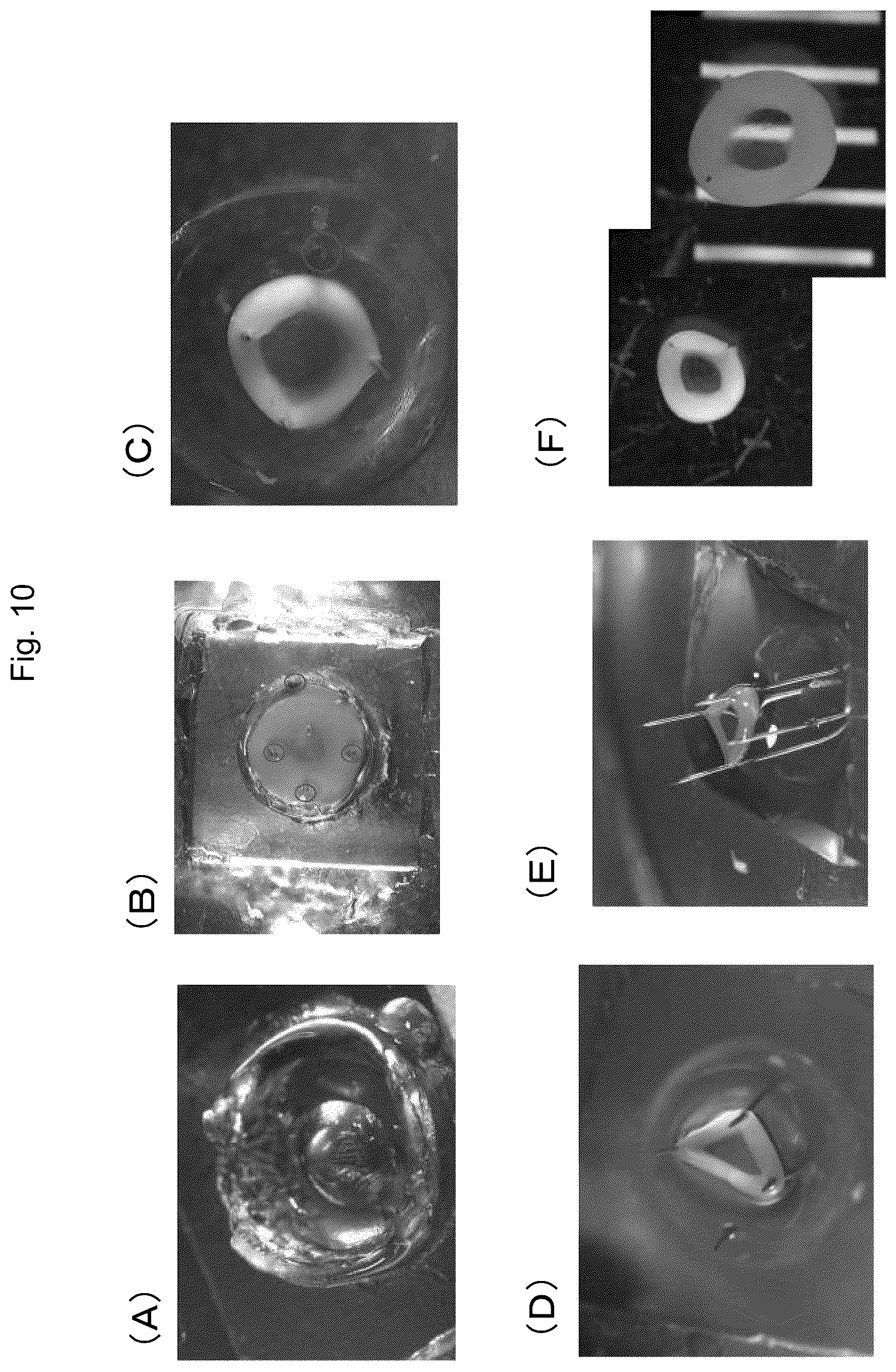 Patent US12378512 Figure 10 – Culture apparatus for drug discovery research