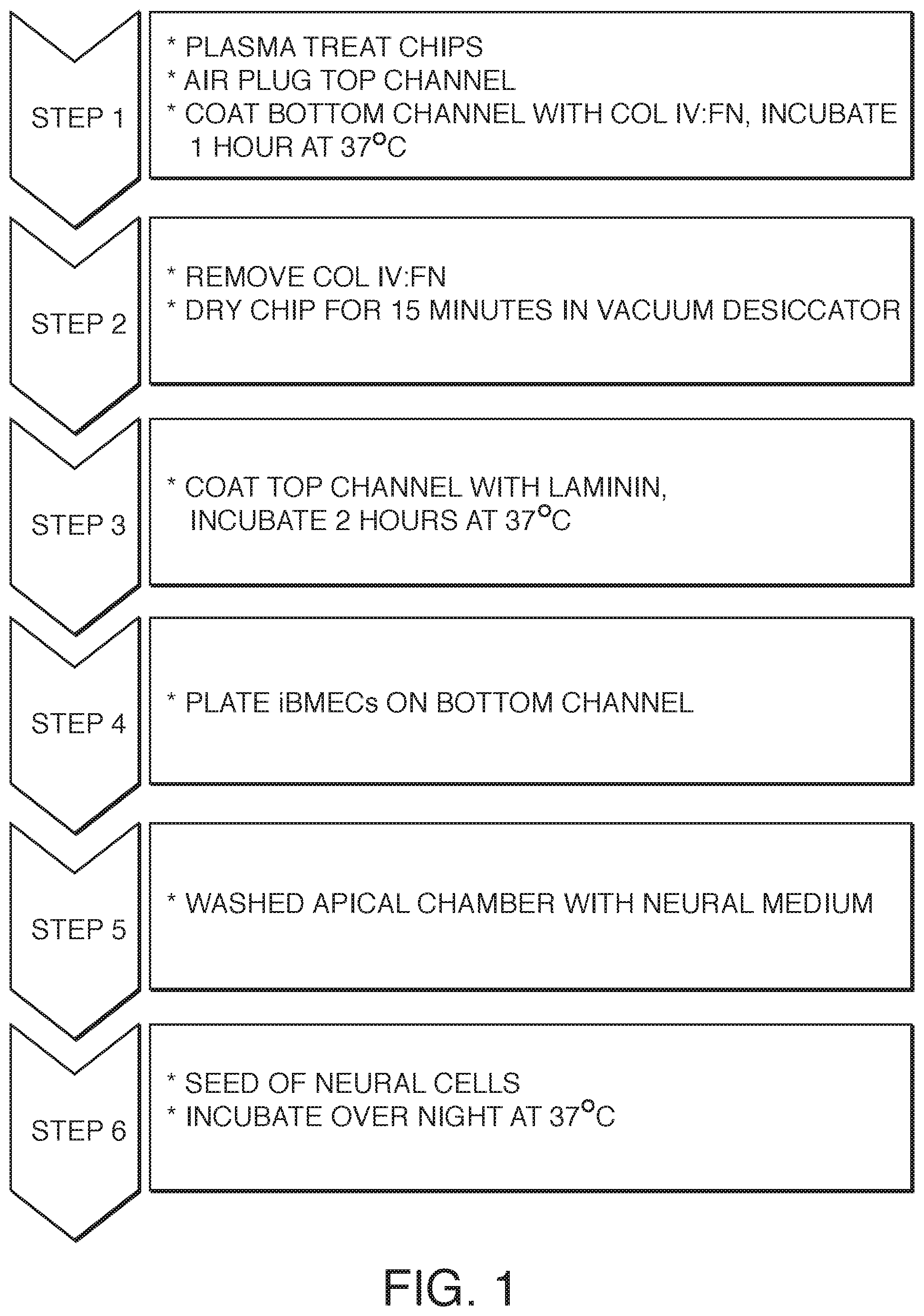 Patent US12378519 — Microfluidic model of the blood brain barrier — Figure 1