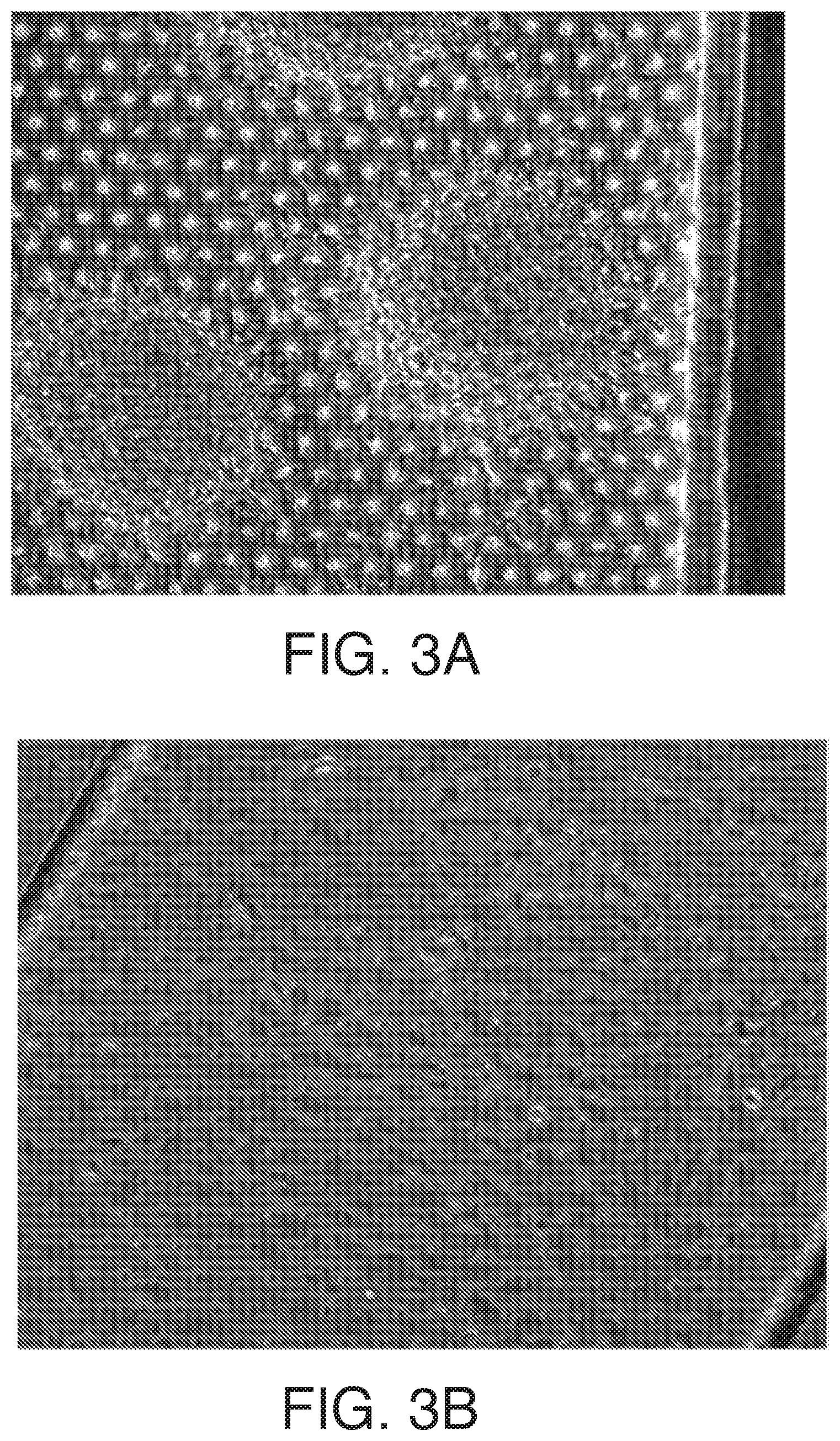 Patent US12378519 Figure 3 – Microfluidic model of the blood brain barrier