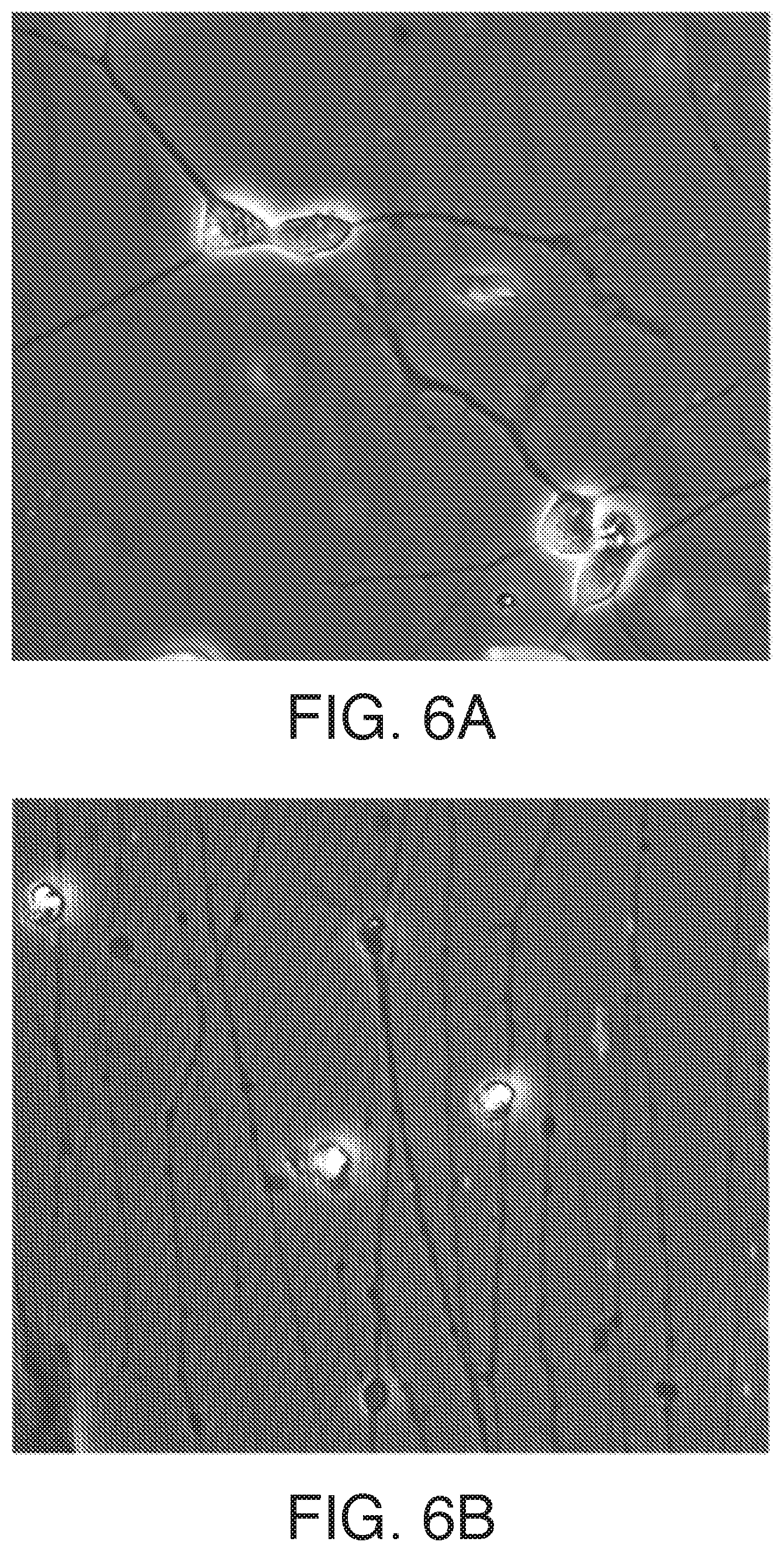 Patent US12378519 Figure 6 – Microfluidic model of the blood brain barrier