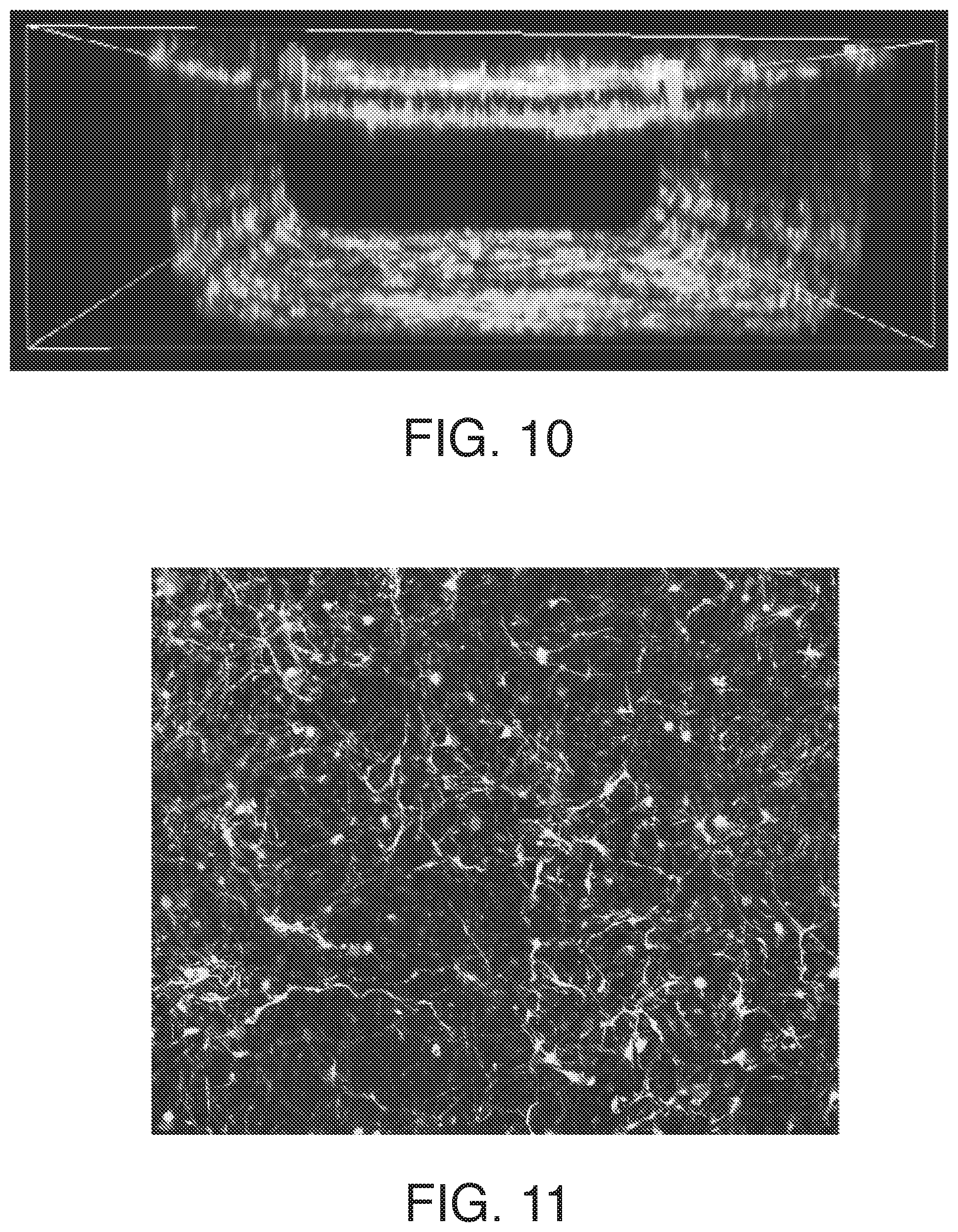 Patent US12378519 Figure 10 – Microfluidic model of the blood brain barrier