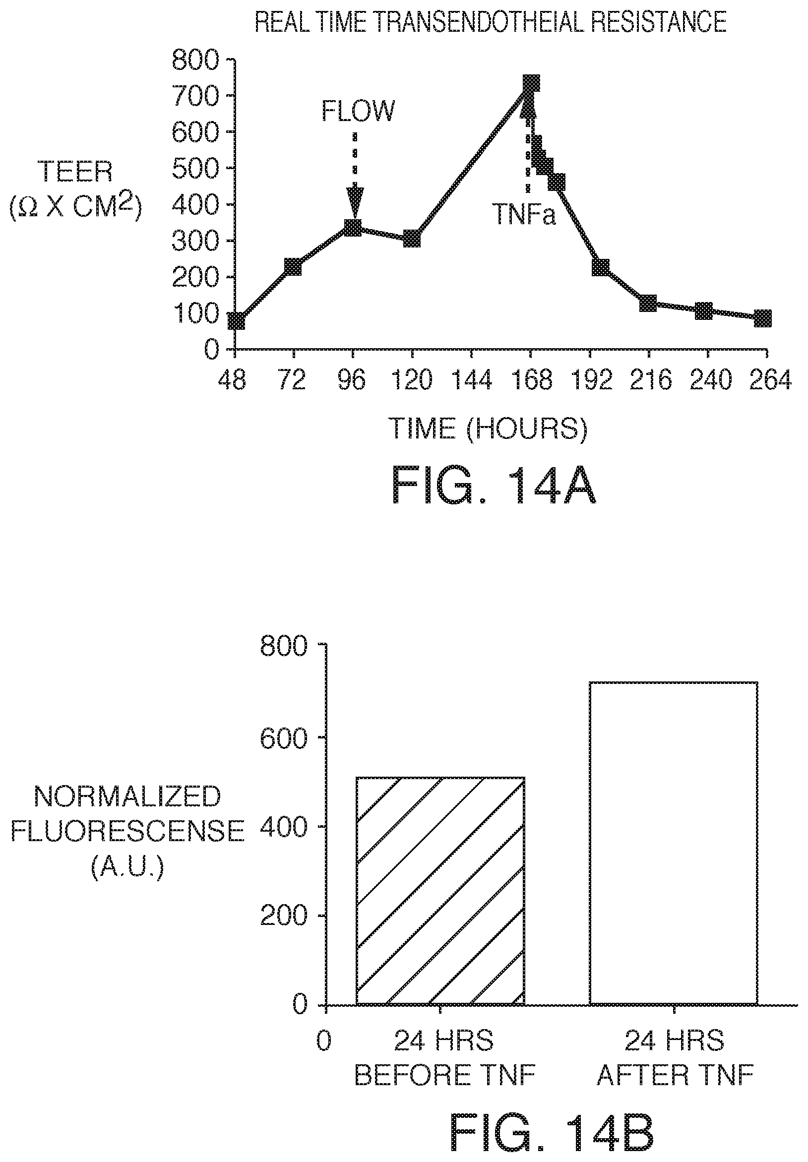 Patent US12378519 Figure 14 – Microfluidic model of the blood brain barrier