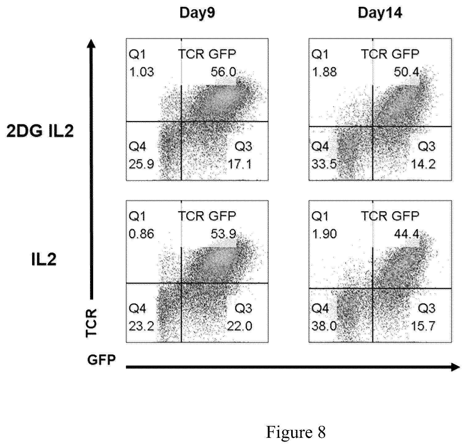 Patent US12378521 Figure 9 – Method for enhancing production of genetically engineered autologous T cells