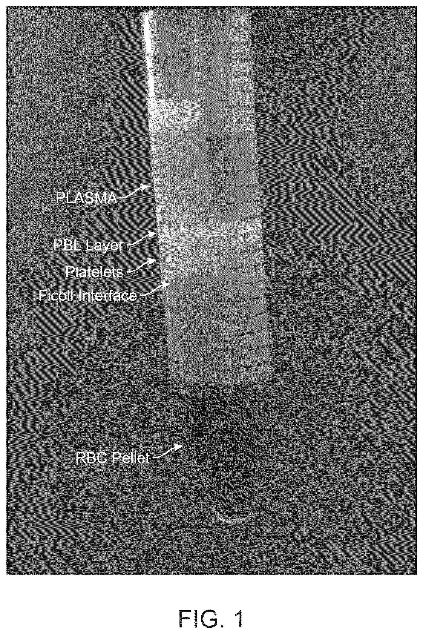 Patent US12378522 Figure 1 – Cell therapy compositions and methods of use thereof