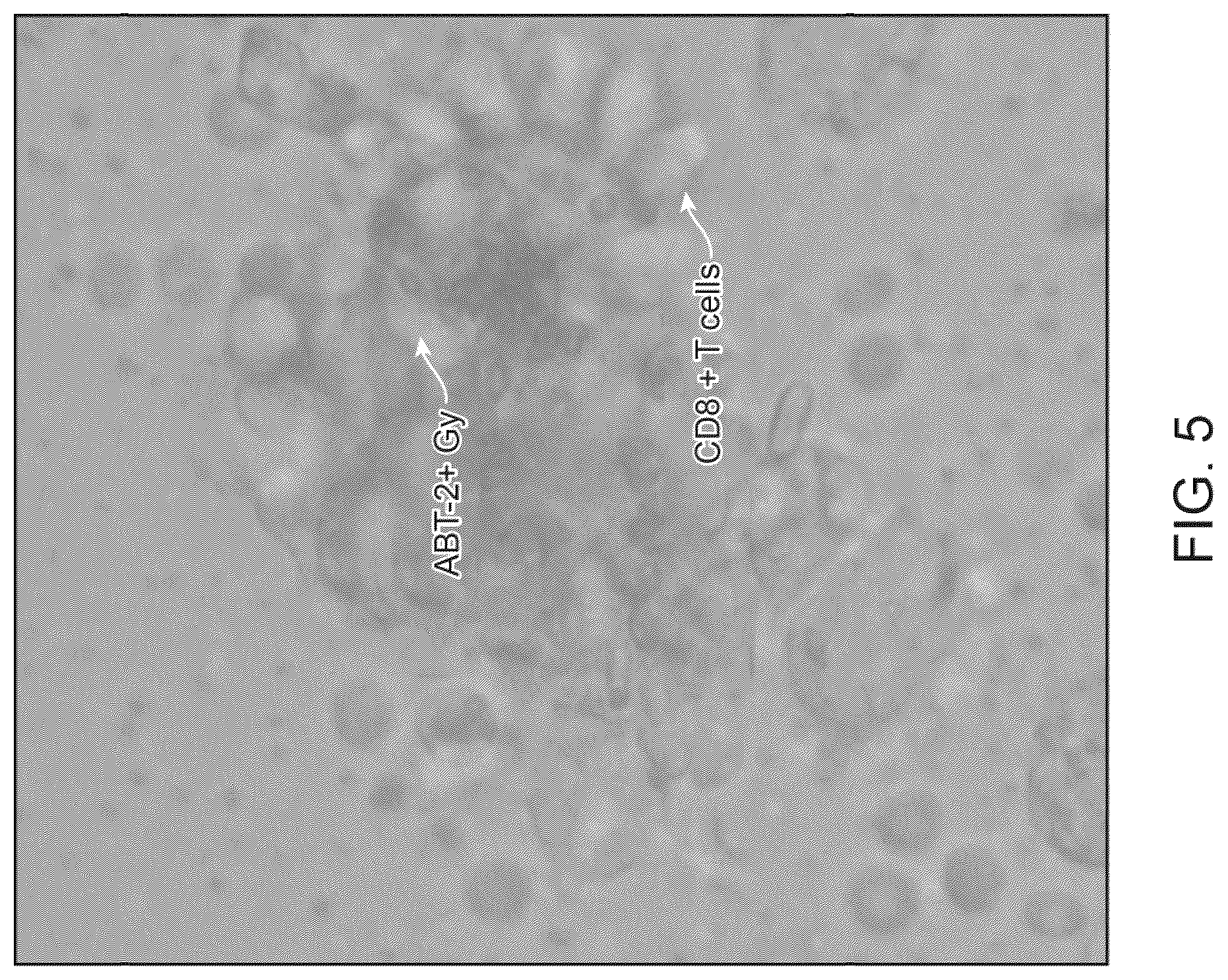 Patent US12378522 Figure 5 – Cell therapy compositions and methods of use thereof