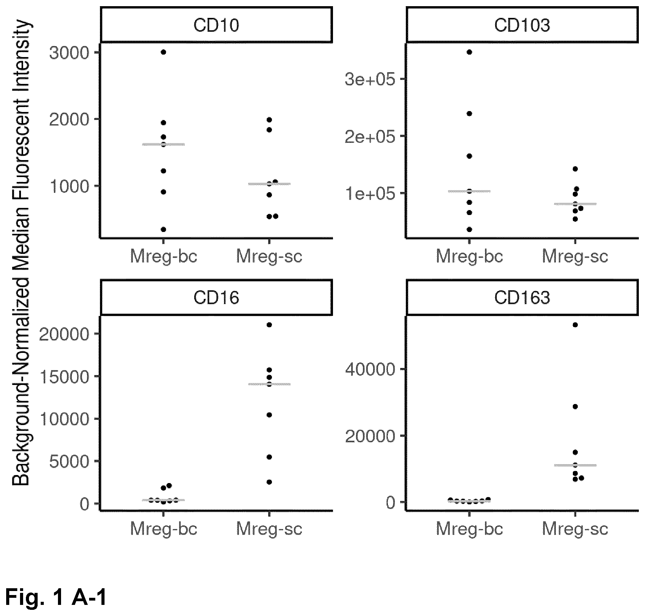 Patent US12378525 Figure 1 – Regulatory macrophages and uses thereof