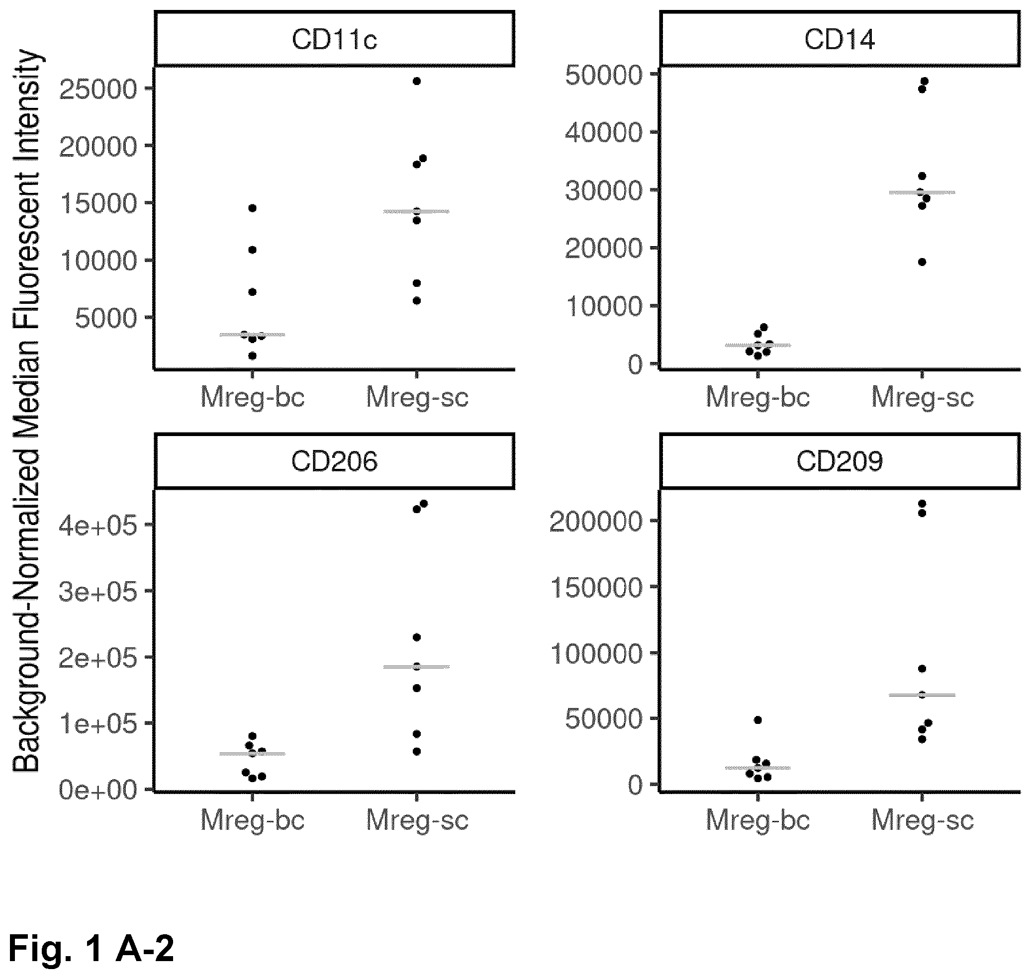 Patent US12378525 Figure 2 – Regulatory macrophages and uses thereof