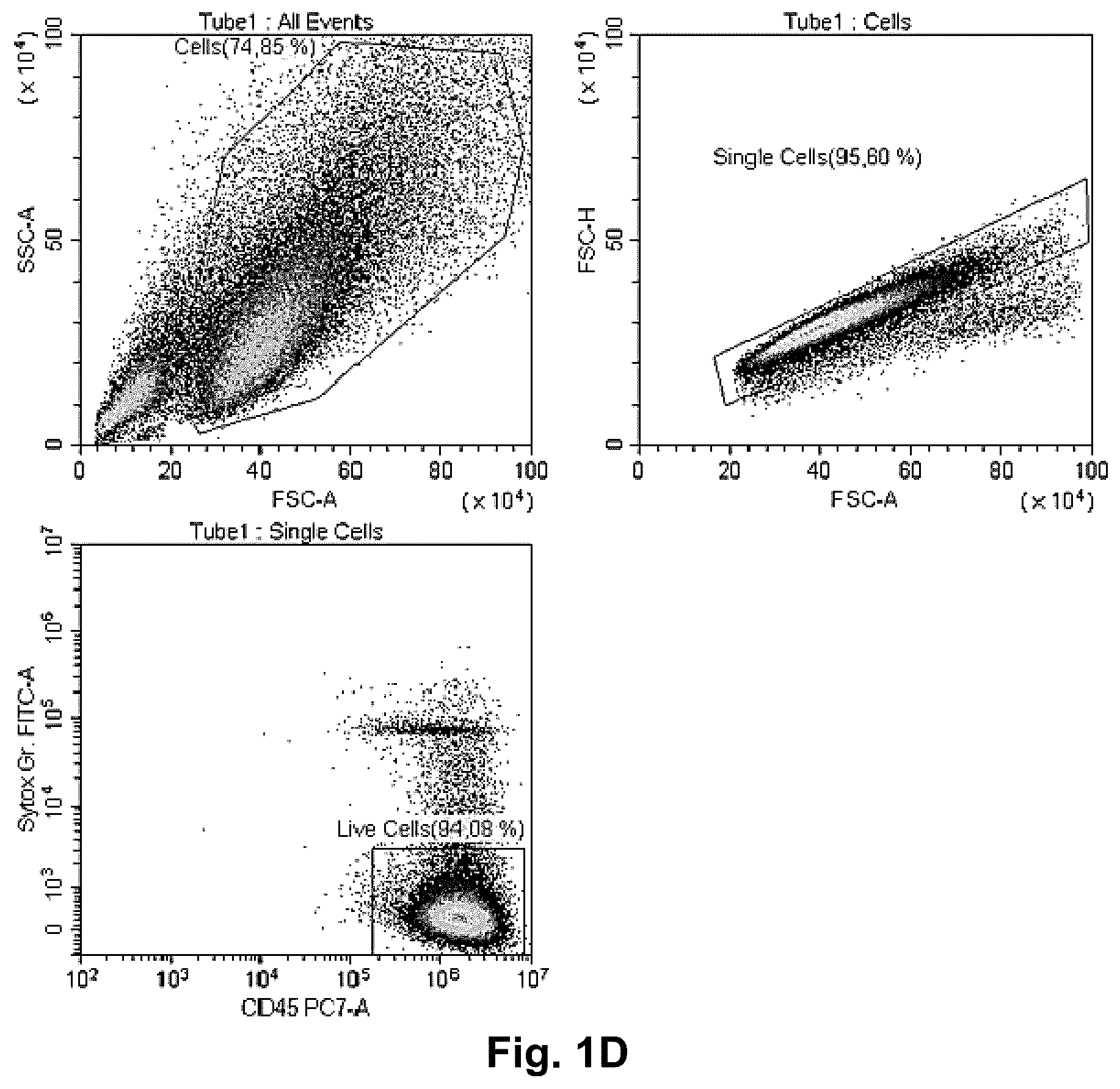 Patent US12378525 Figure 9 – Regulatory macrophages and uses thereof