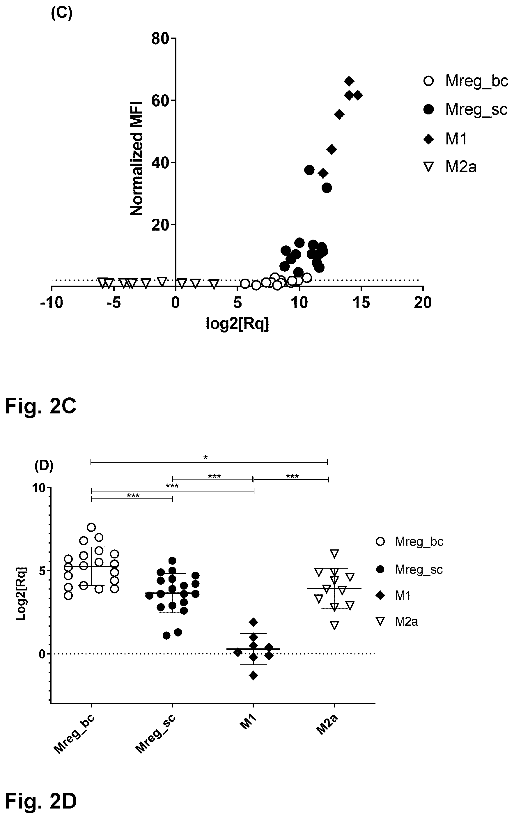 Patent US12378525 Figure 11 – Regulatory macrophages and uses thereof