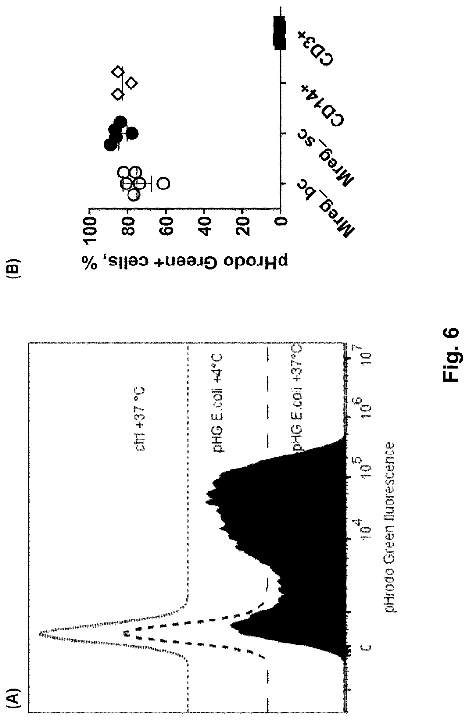 Patent US12378525 Figure 14 – Regulatory macrophages and uses thereof