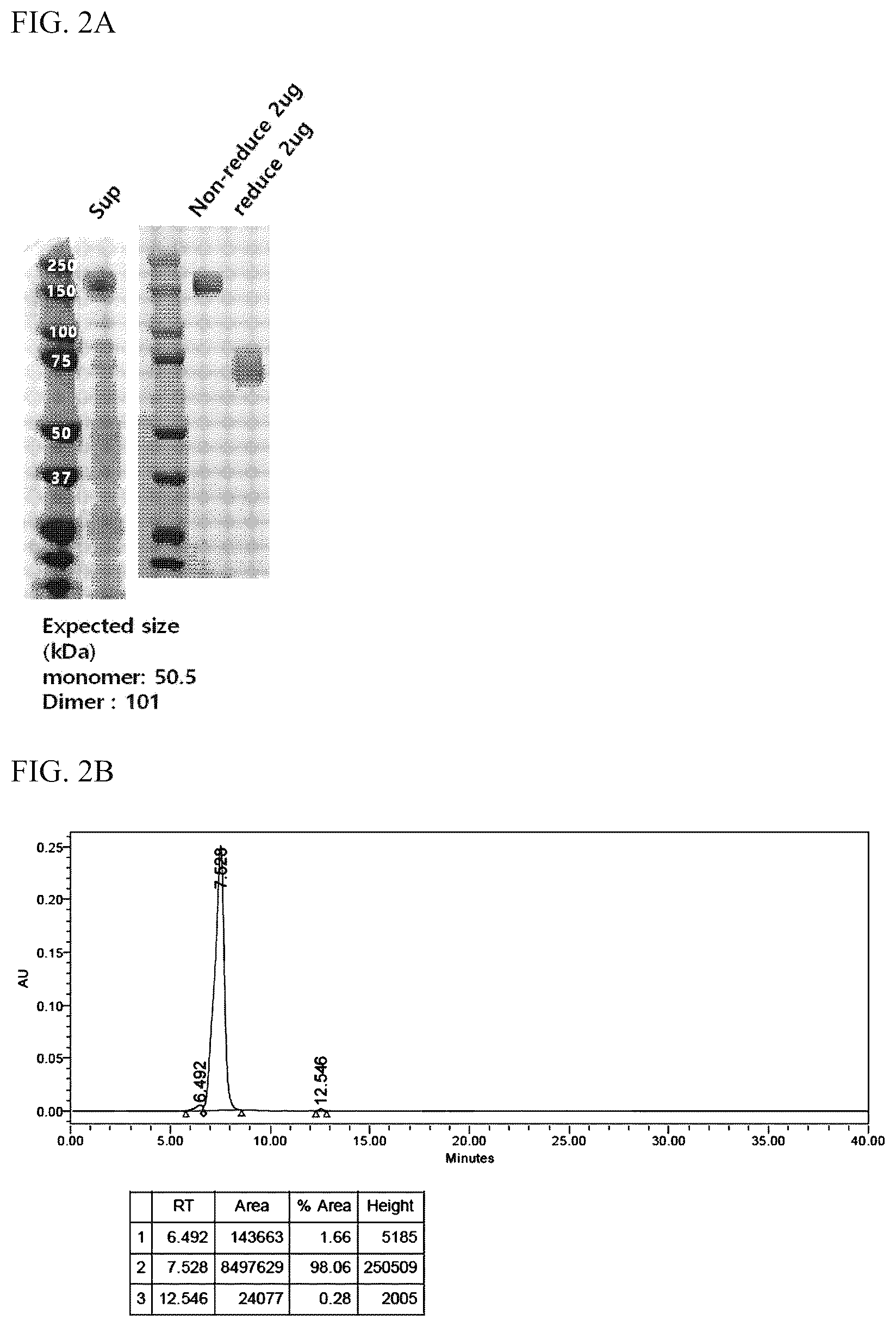 Patent US12378526 Figure 3 – Composition for culturing natural killer cells and method for preparing natural killer cells by using same