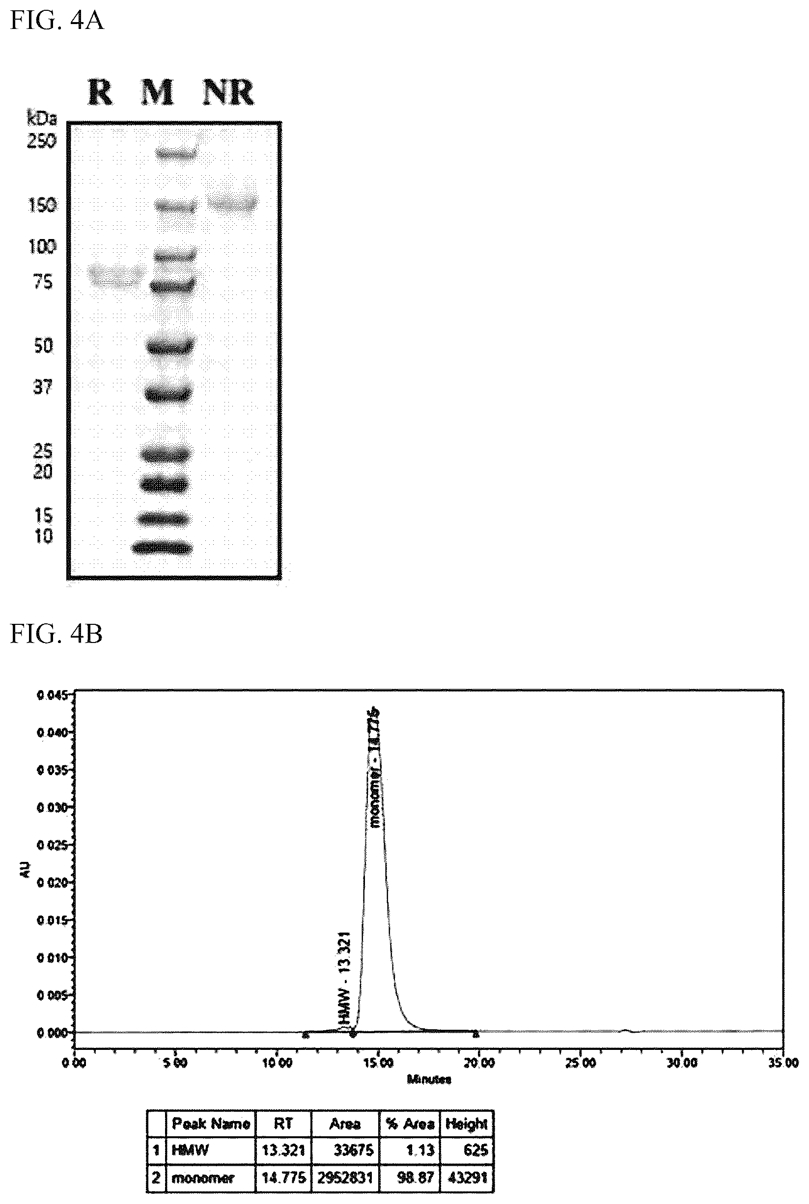 Patent US12378526 Figure 6 – Composition for culturing natural killer cells and method for preparing natural killer cells by using same