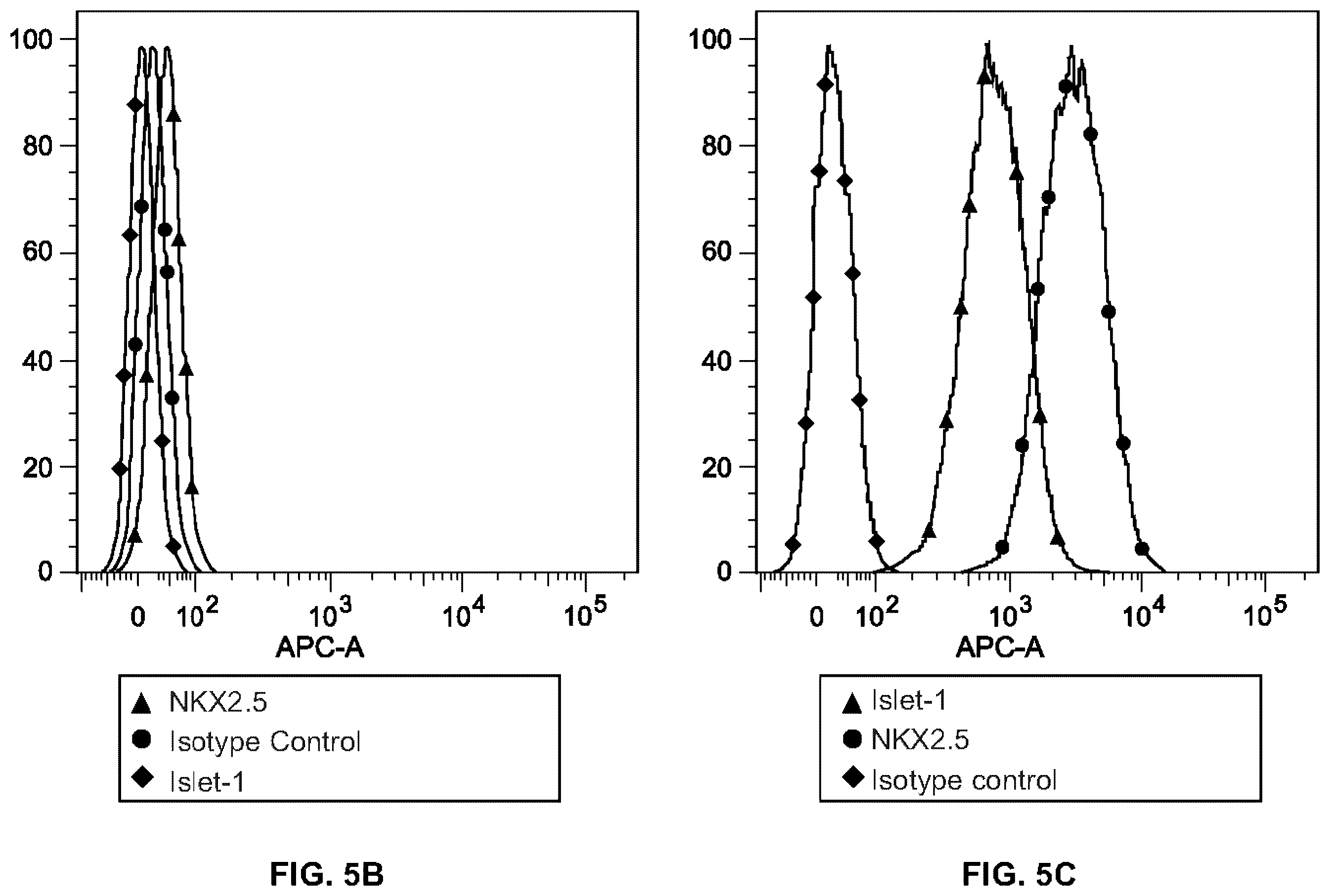 Patent US12378527 Figure 8 – Differentiation of pluripotent stem cells using laminins LN-511, LN-521 and LN-221