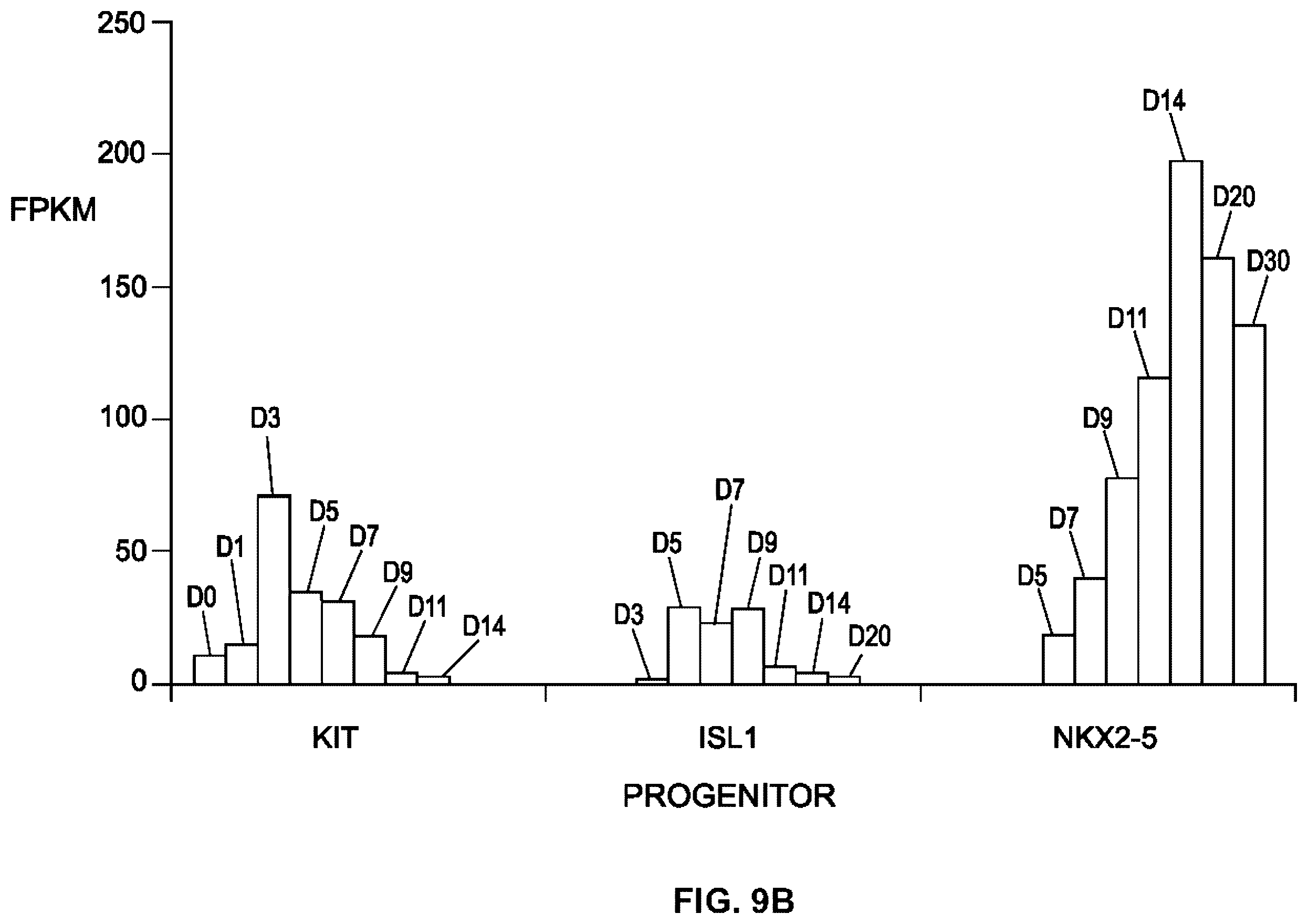 Patent US12378527 Figure 14 – Differentiation of pluripotent stem cells using laminins LN-511, LN-521 and LN-221