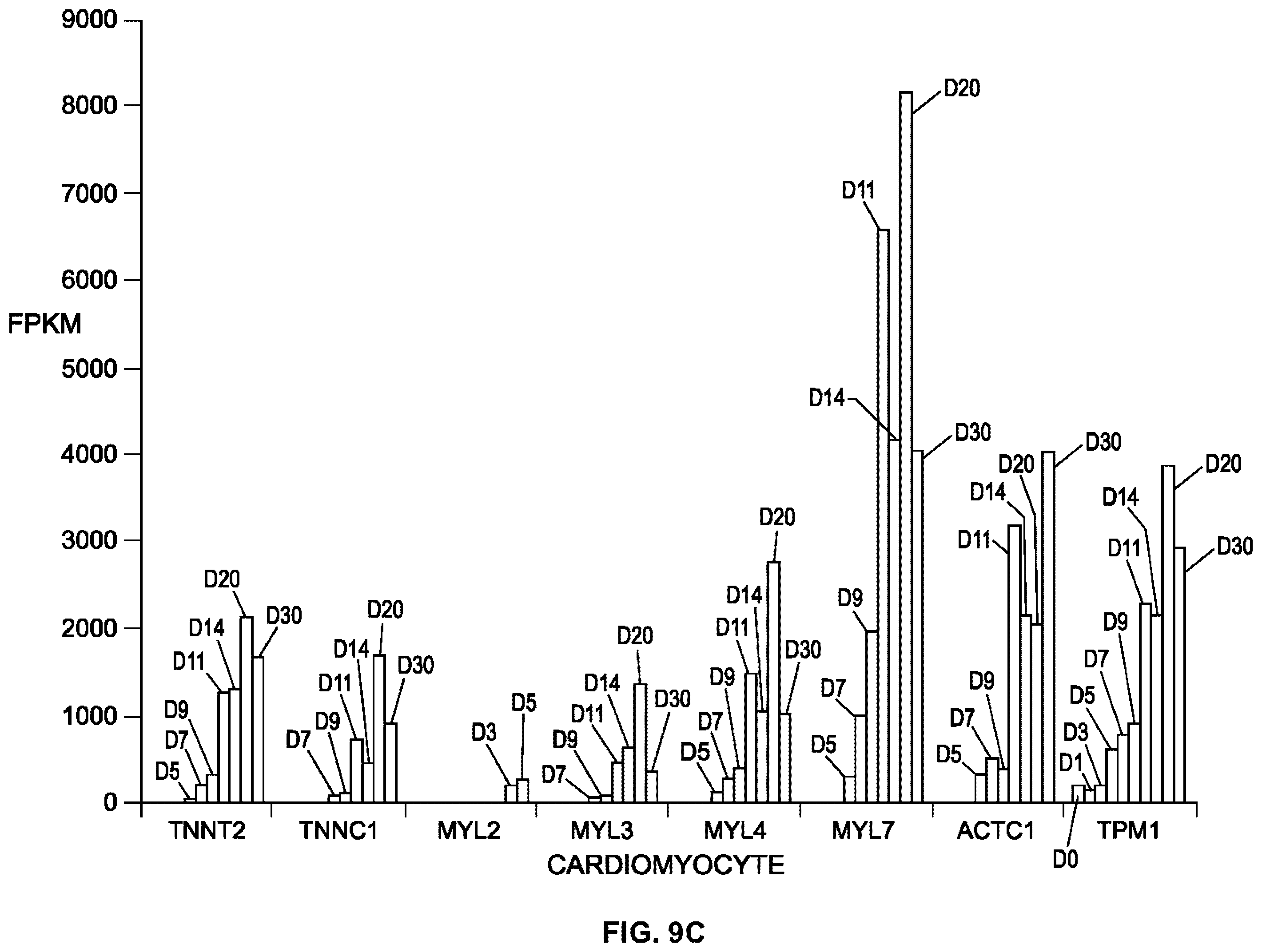 Patent US12378527 Figure 15 – Differentiation of pluripotent stem cells using laminins LN-511, LN-521 and LN-221
