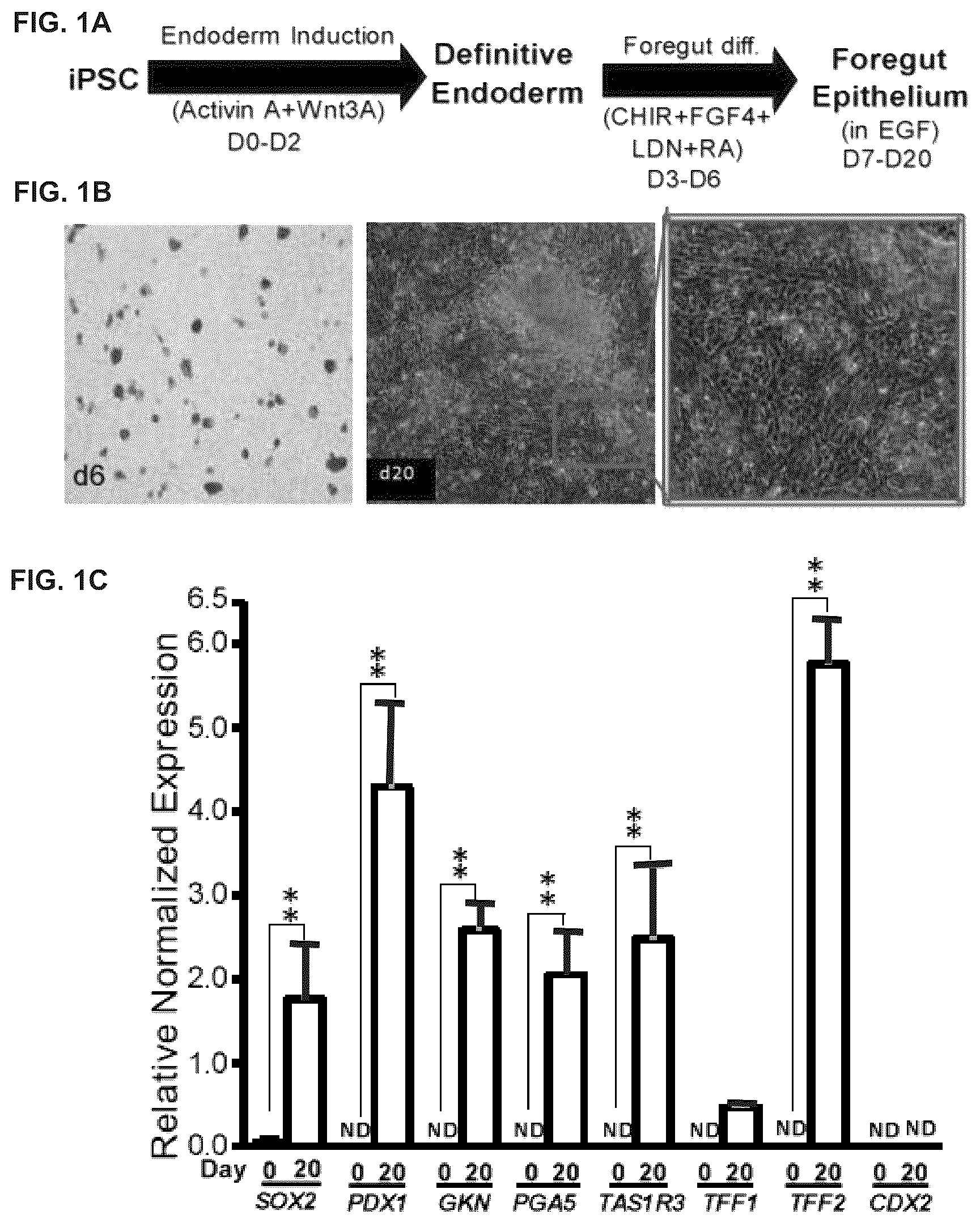 Patent US12378528 Figure 1 – Systems and methods for growth of intestinal cells in microfluidic devices