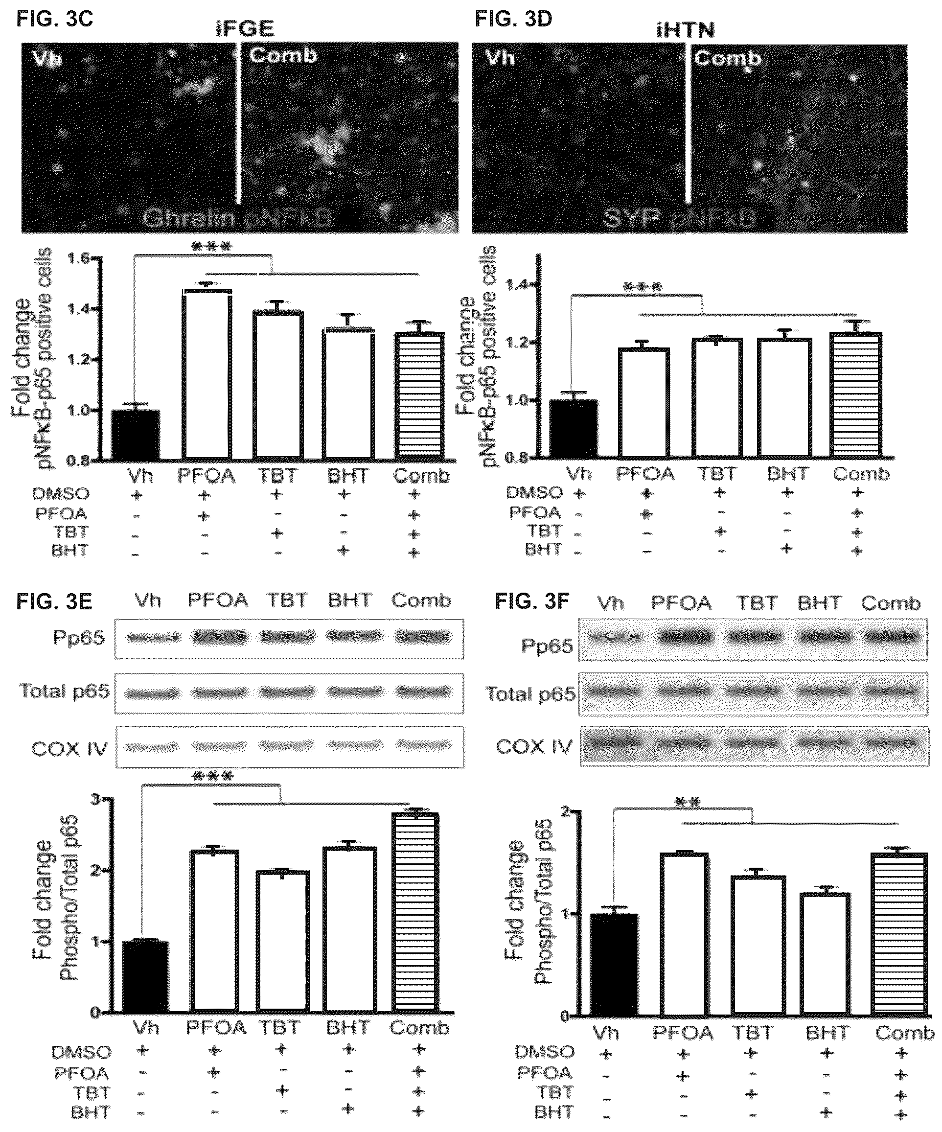 Patent US12378528 Figure 5 – Systems and methods for growth of intestinal cells in microfluidic devices